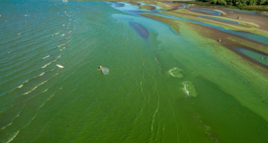 Rio de La Plata: alerta naranja por presencia de cianobacterias