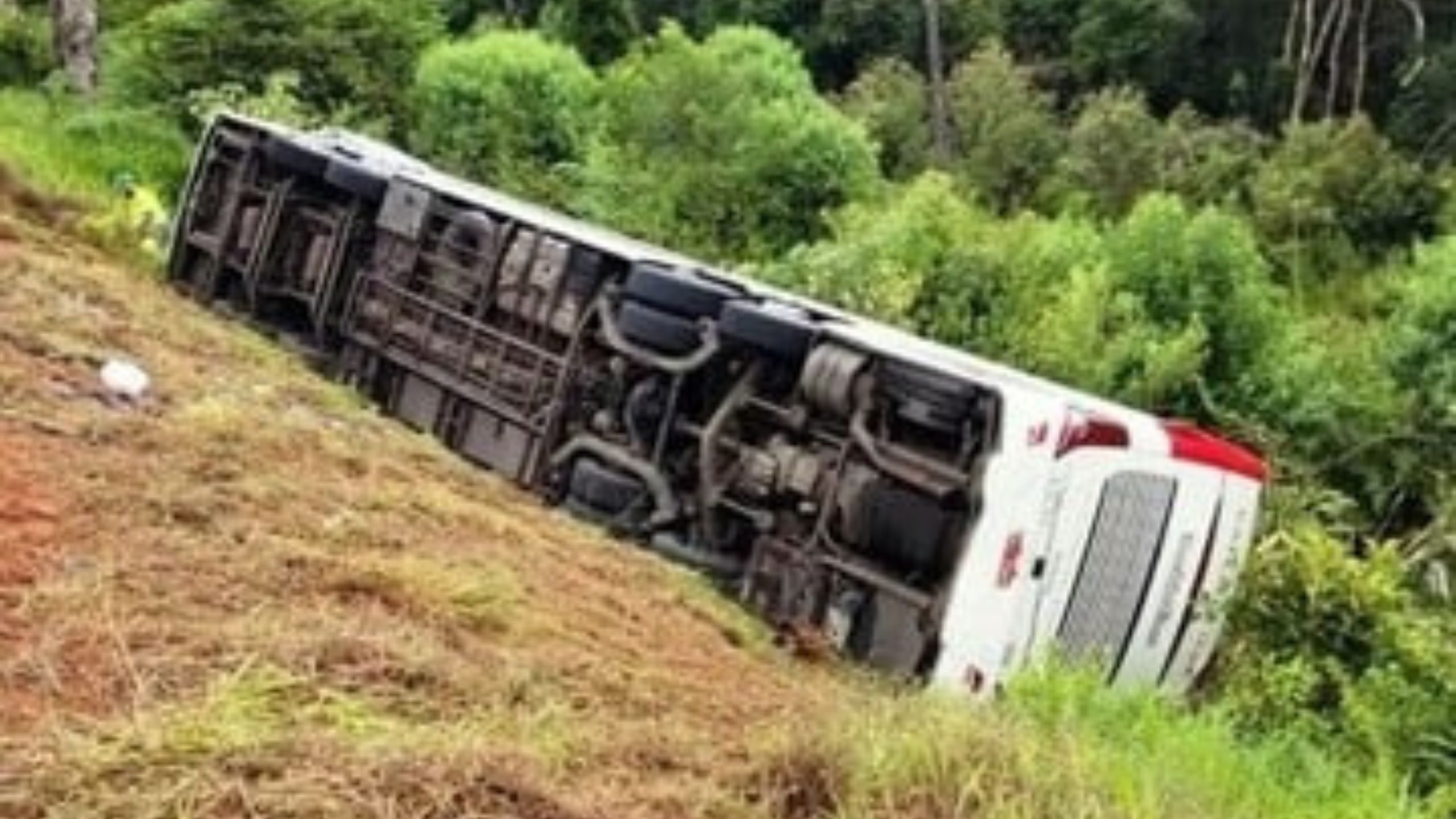 Tragedia en Brasil: volcó un micro y hay 5 argentinos fallecidos, entre ellos un Magdalenense