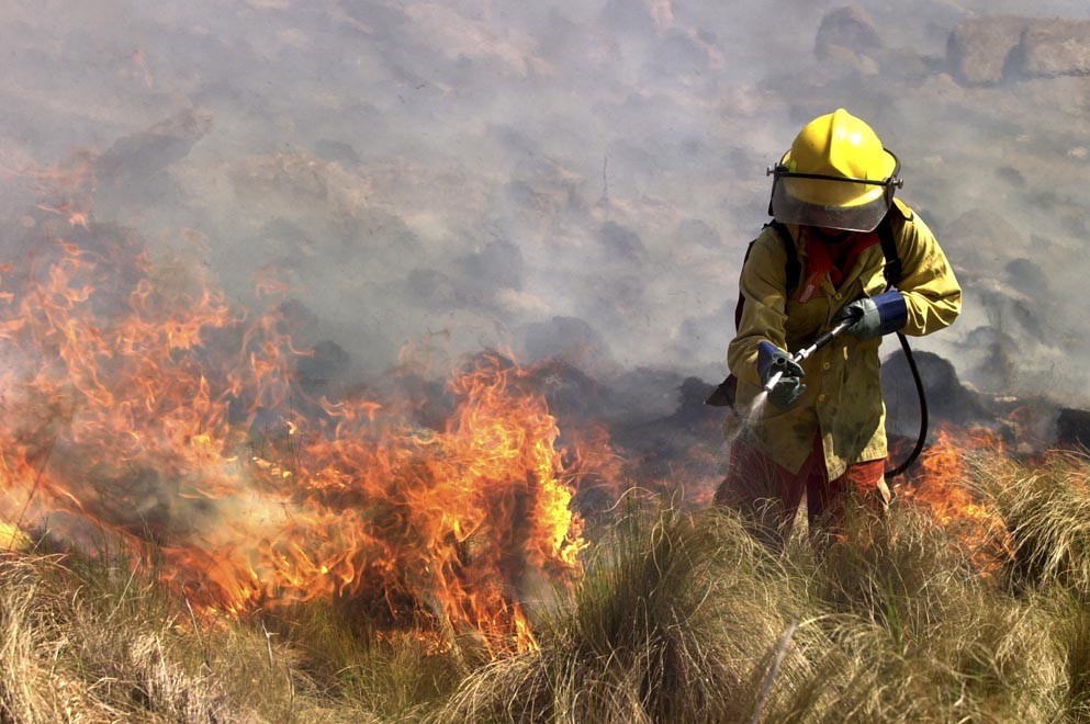 Cómo evitar los incendios forestales en Magdalena: consejos de los Bomberos