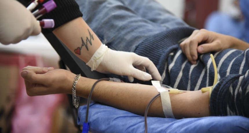 Falta de Insumos Provoca Suspensión de Jornada de Donación de Sangre en Magdalena