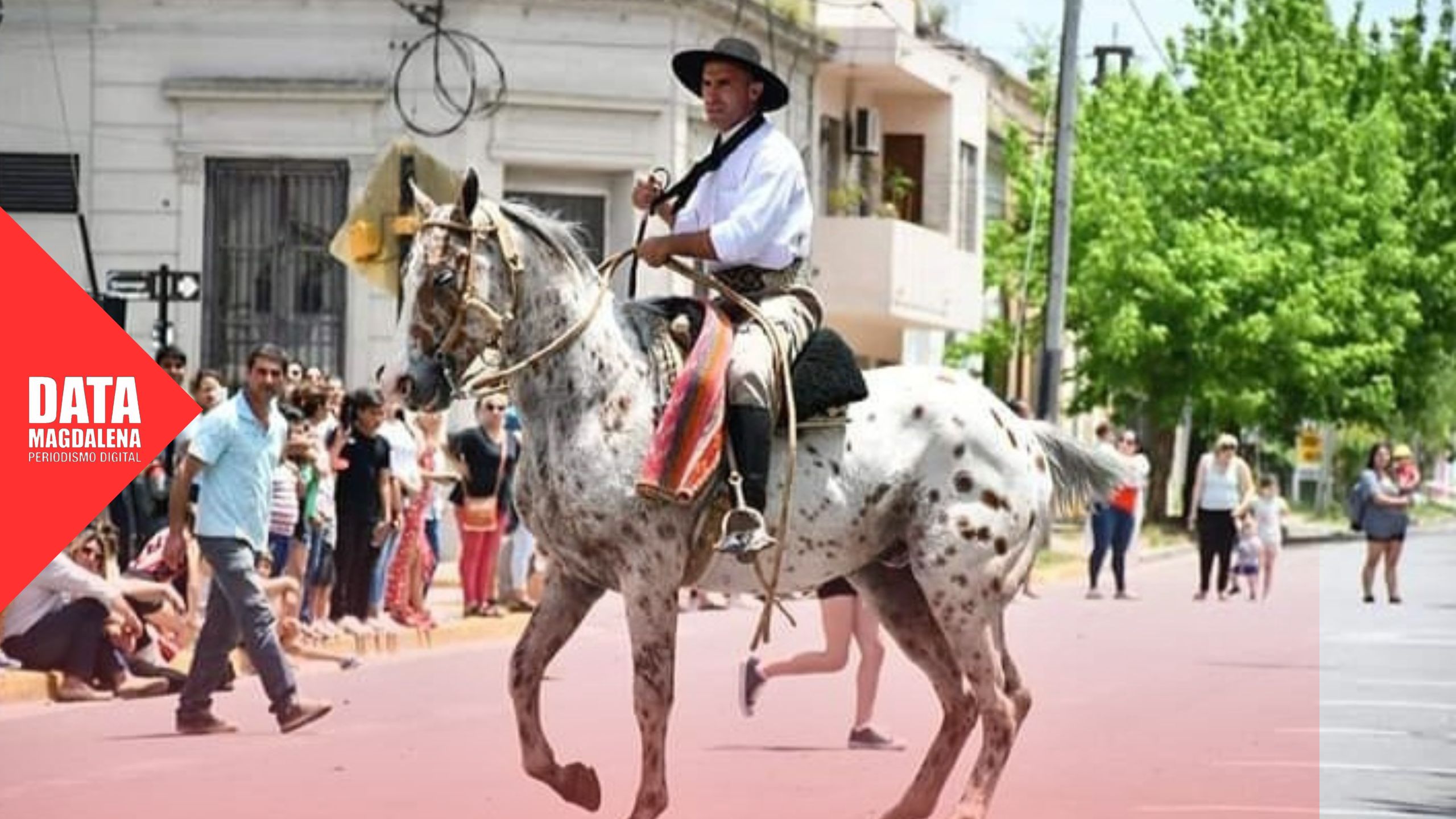 🏇Joaquín Osteghuy, destacado en Jesús María: 5° lugar en el festival de doma más importante del país