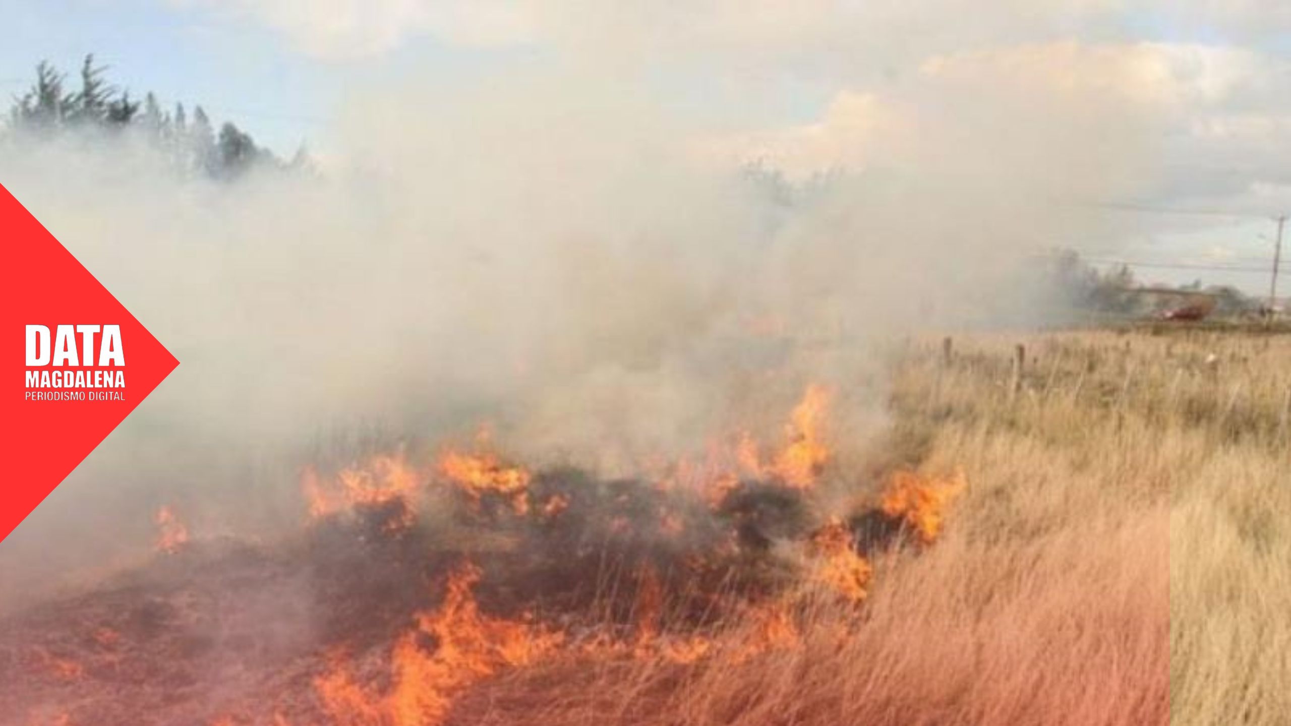 🌫️Humo en las rutas: el peligro oculto de la expansión agrícola en Magdalena