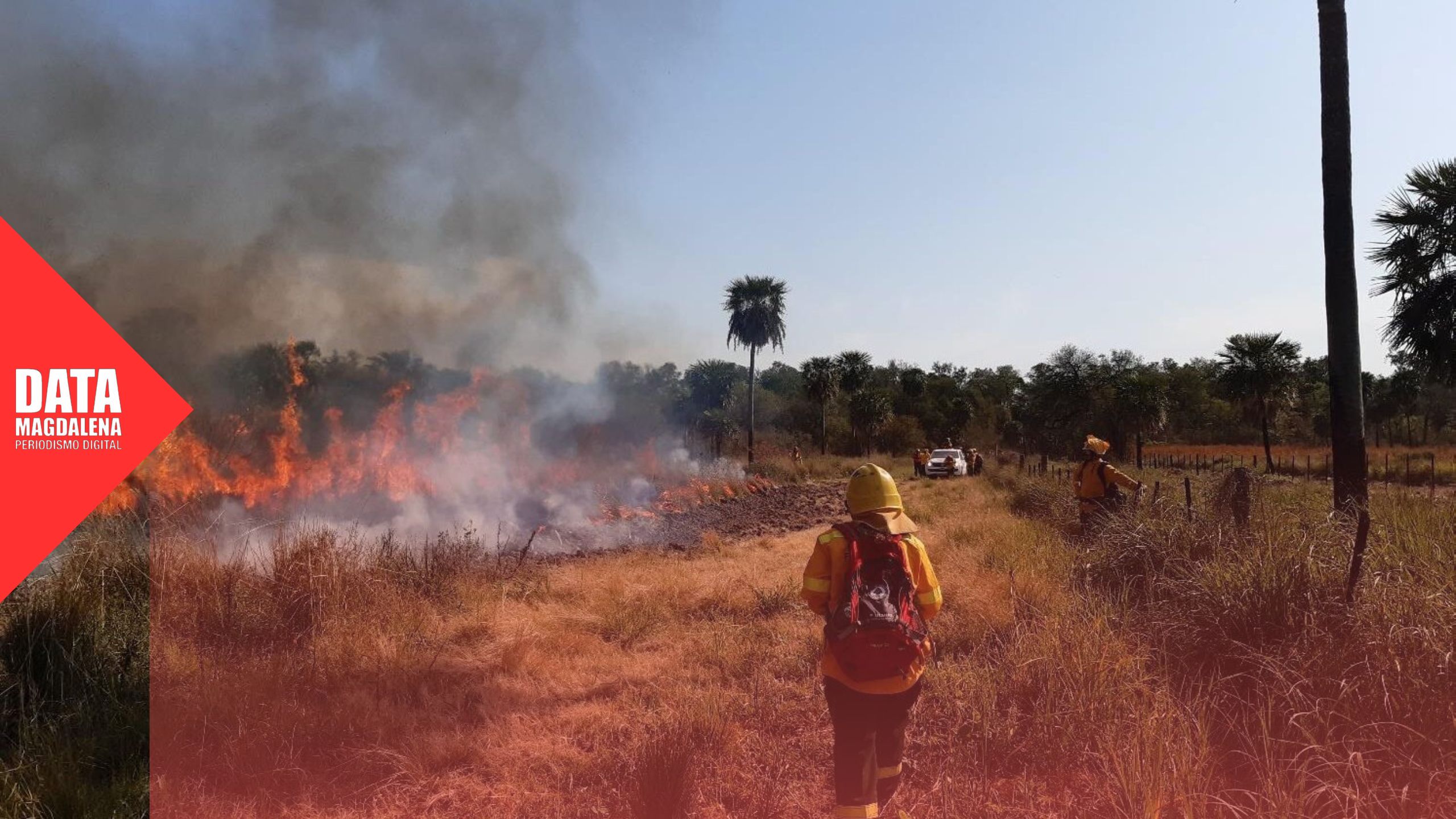 🚨 Incendios forestales: más de la mitad de Buenos Aires bajo riesgo extremo según organismos nacionales