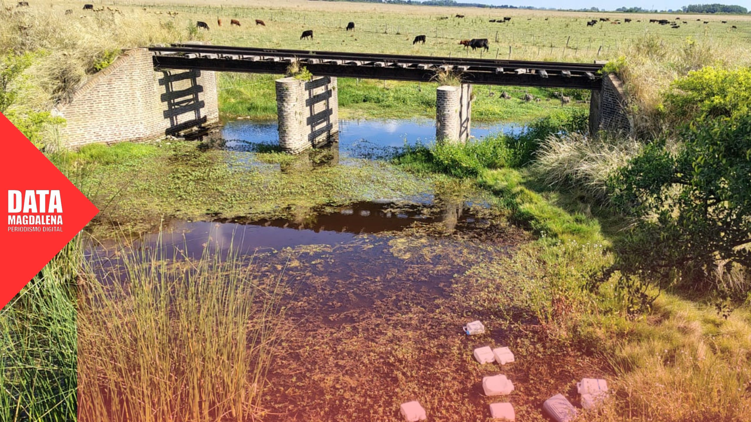  Alerta por bidones fitosanitarios en un arroyo de la zona rural camino a Arditi