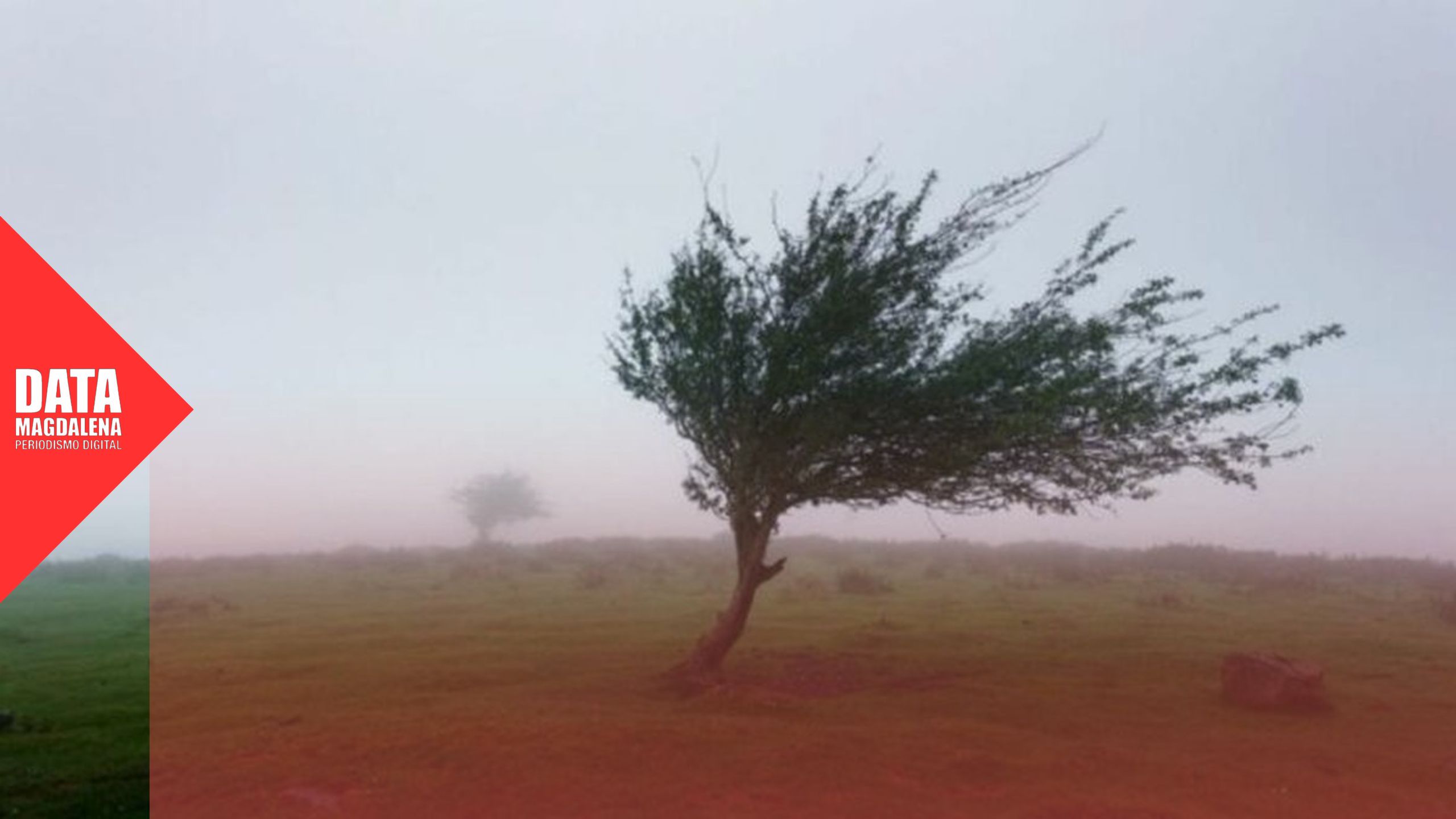 Alerta amarilla por vientos en Magdalena: ráfagas de hasta 70 km/h este sábado