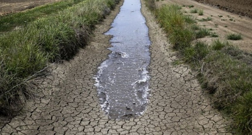 Reducción de impuestos para el sector agropecuario magdalenense