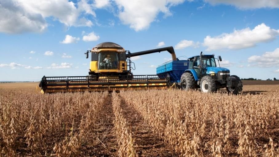  Alerta Agricultura: Pérdidas Soja en Argentina