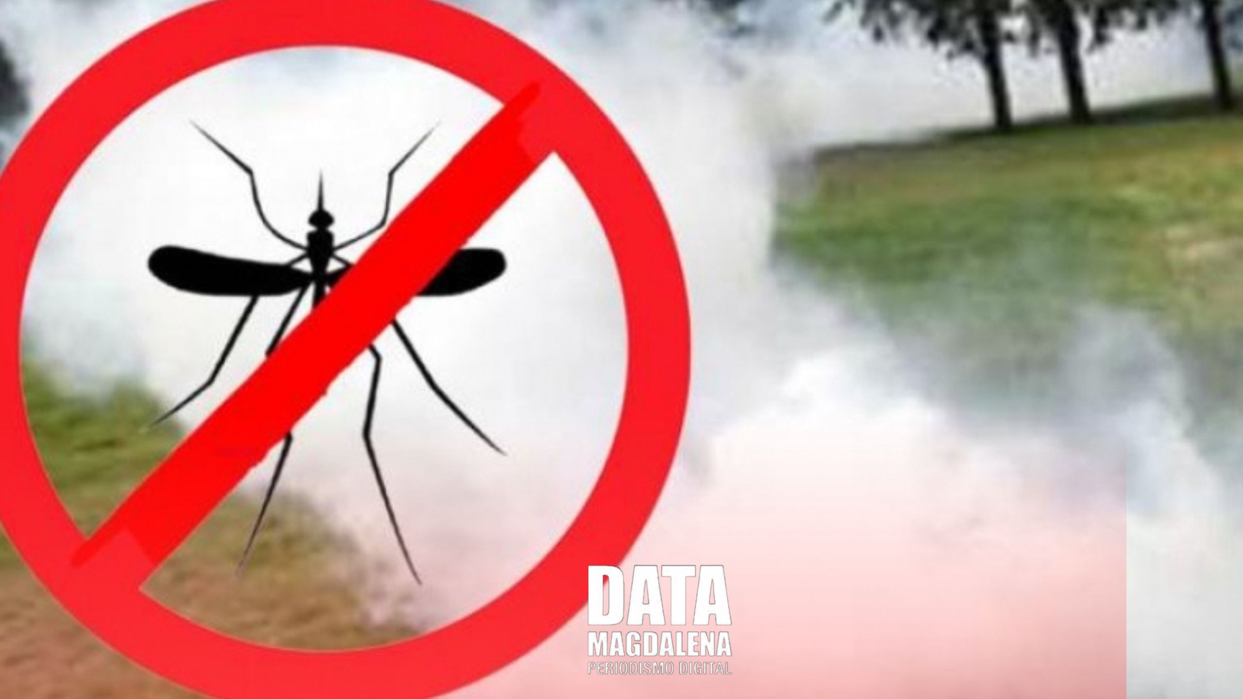 Prevención contra la invasión de mosquitos: Recomendaciones  de Poliplagas