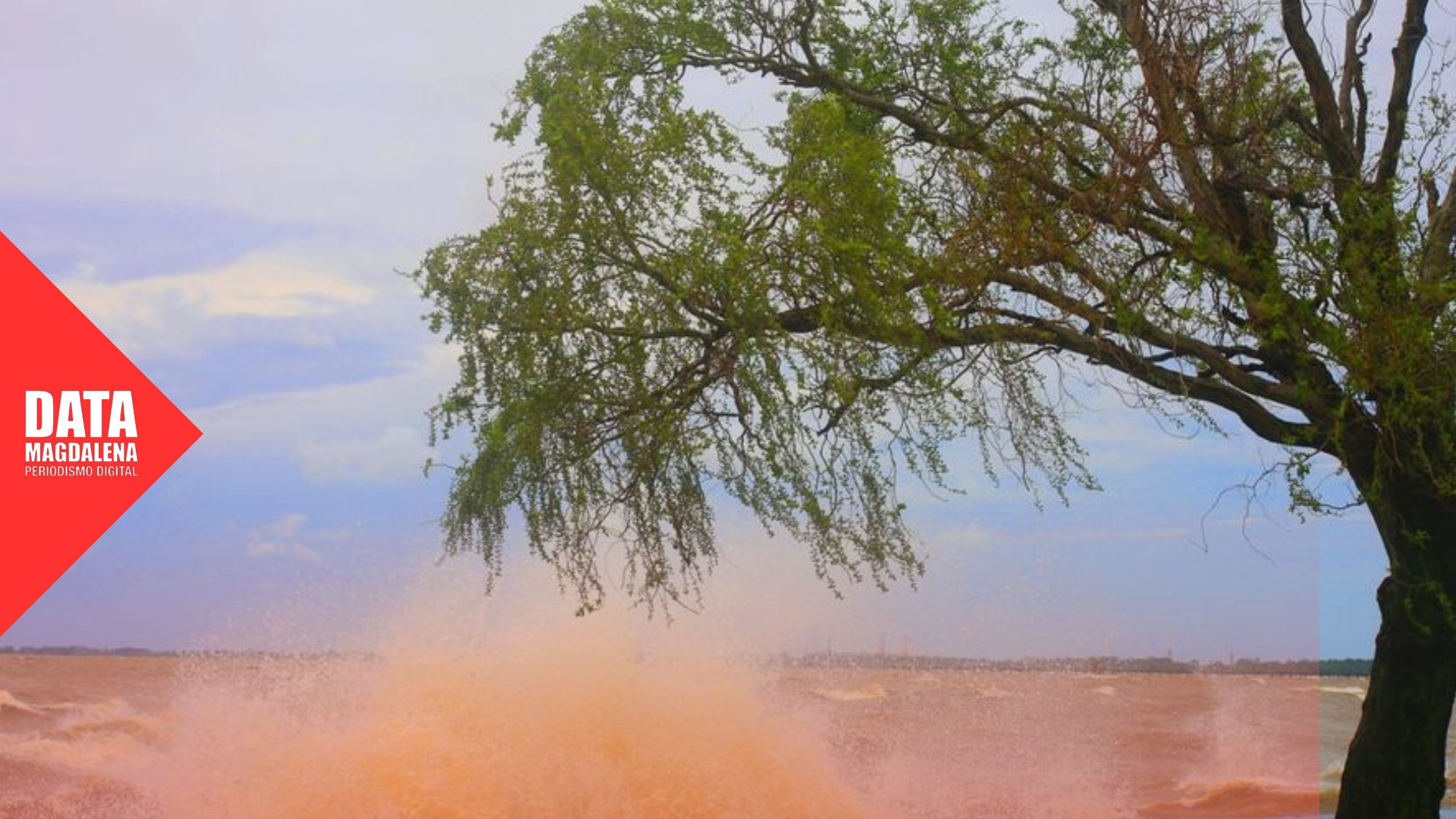 🚨El Río de la Plata aumentará su nivel y podría generar complicaciones