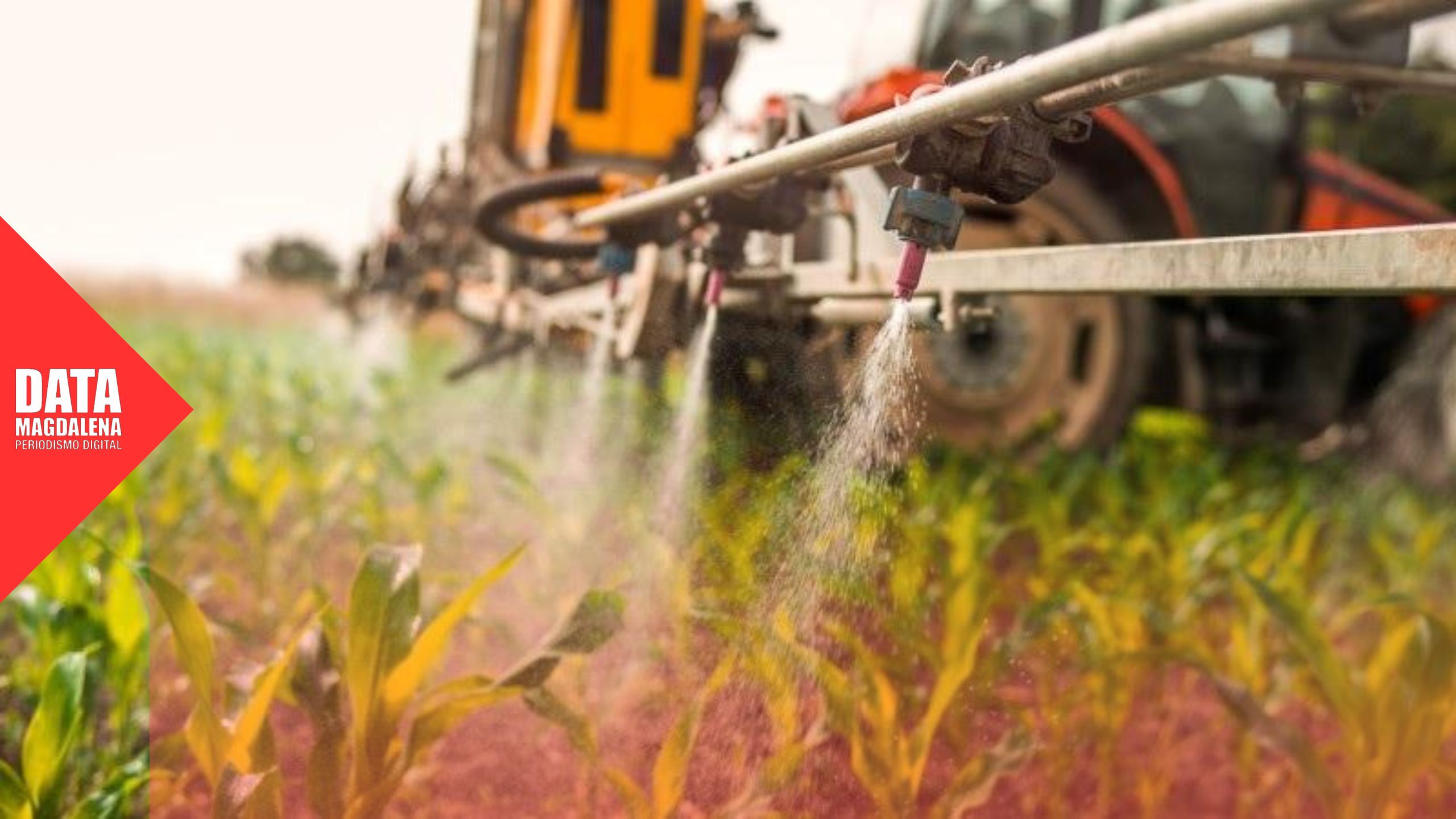 Tras el alerta ambiental en Arditi, ingresa al Concejo un proyecto para regular agroquímicos
