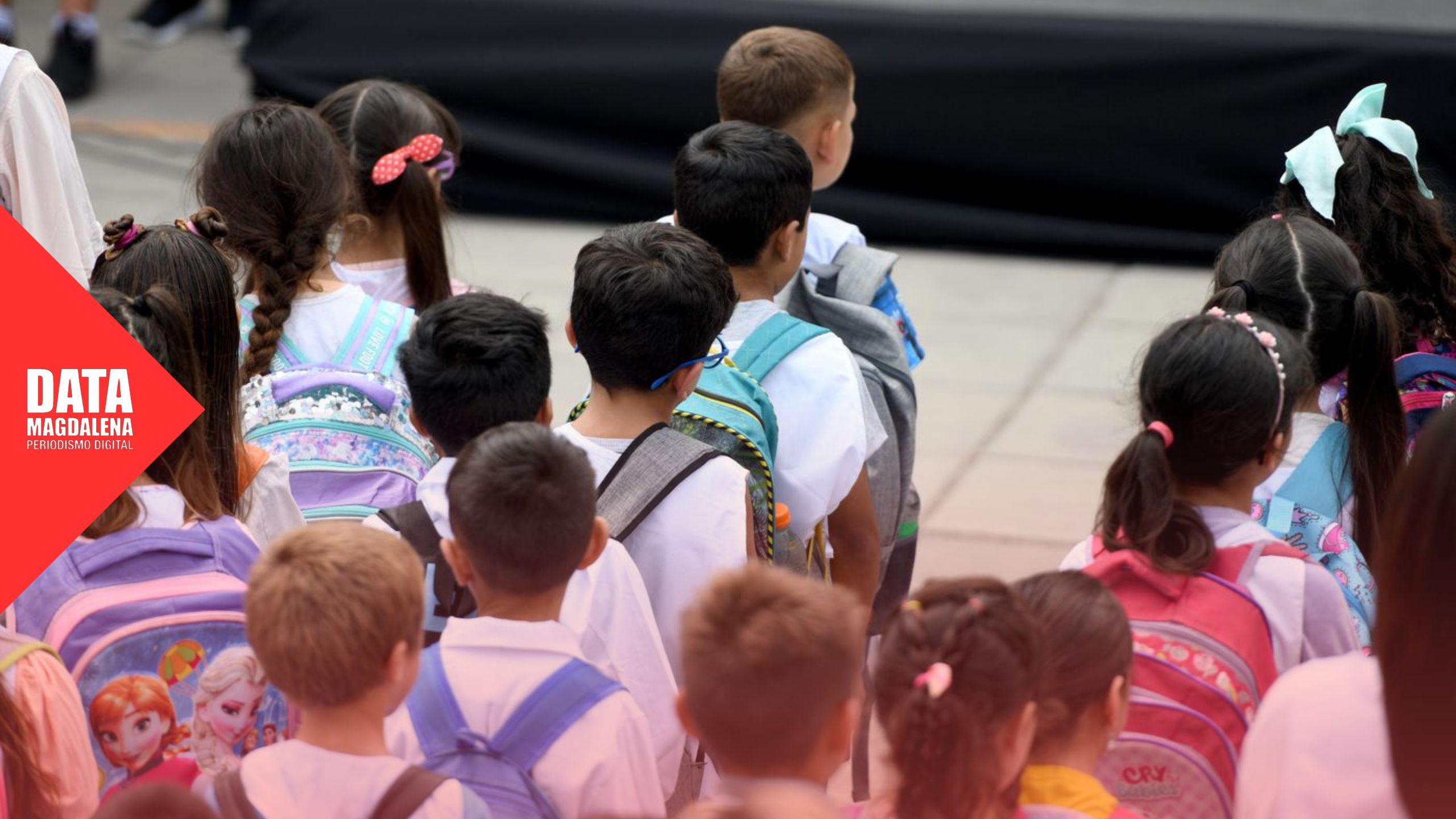 Un gremio docente har&aacute; paro por el D&iacute;a de la Mujer y no habr&aacute; clases en la mayor&iacute;a de las escuelas magdalenenses