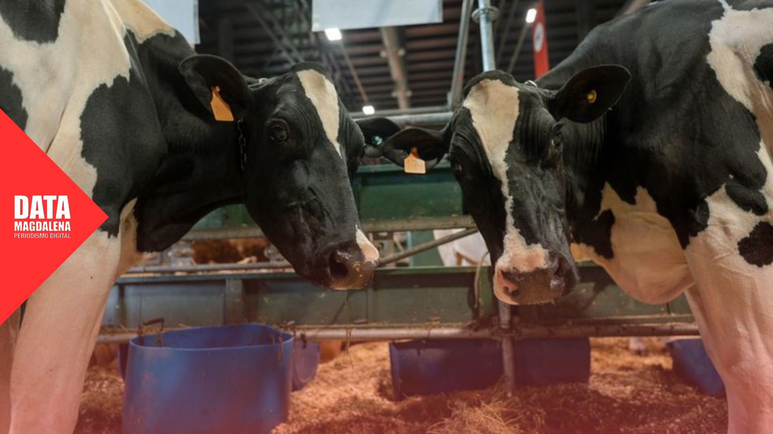 Vuelve la Expo Magdalena Produce tras m&aacute;s de 30 a&ntilde;os