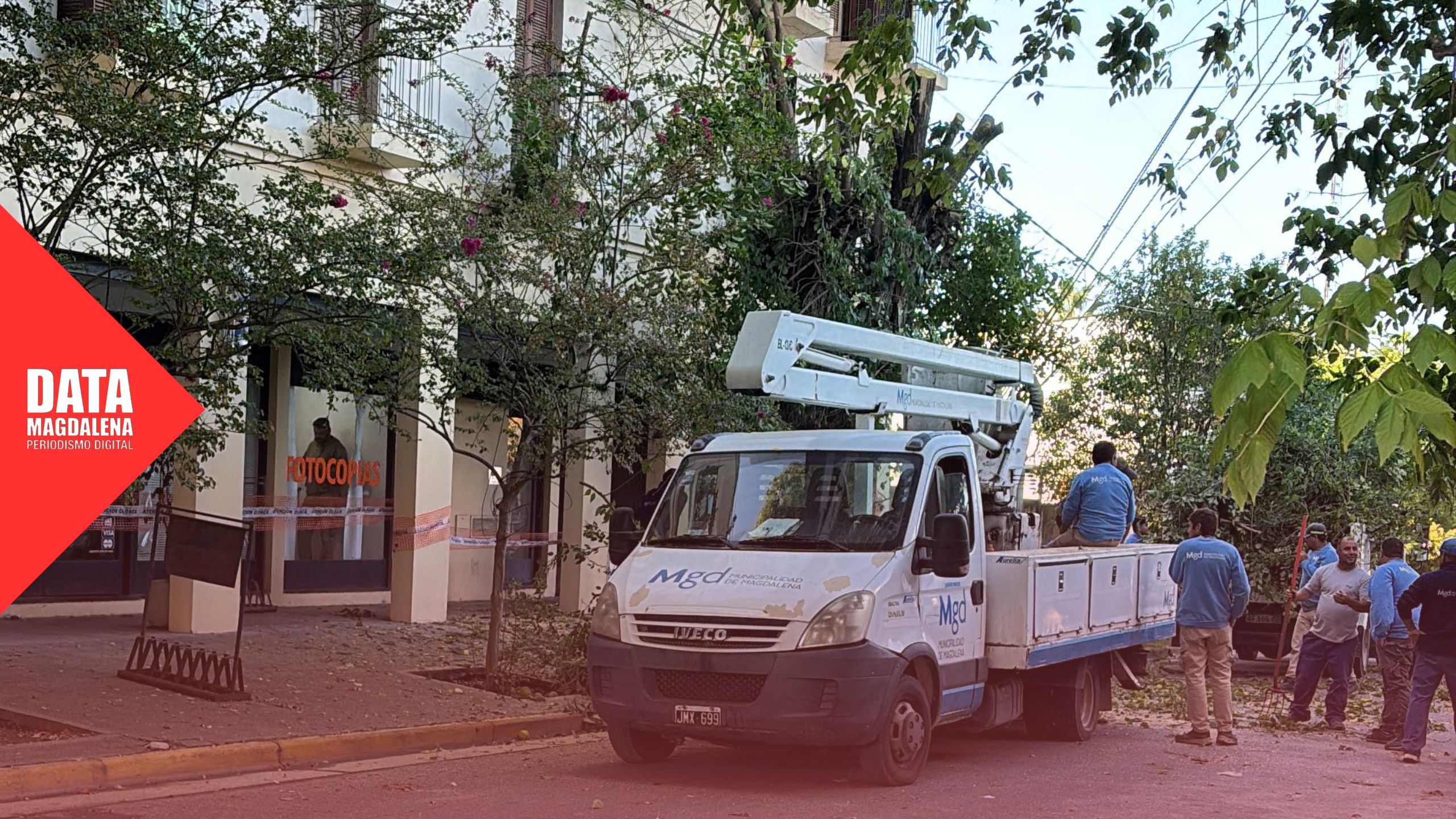 Quita de &aacute;rboles por problemas en agua y cloacas en Magdalena