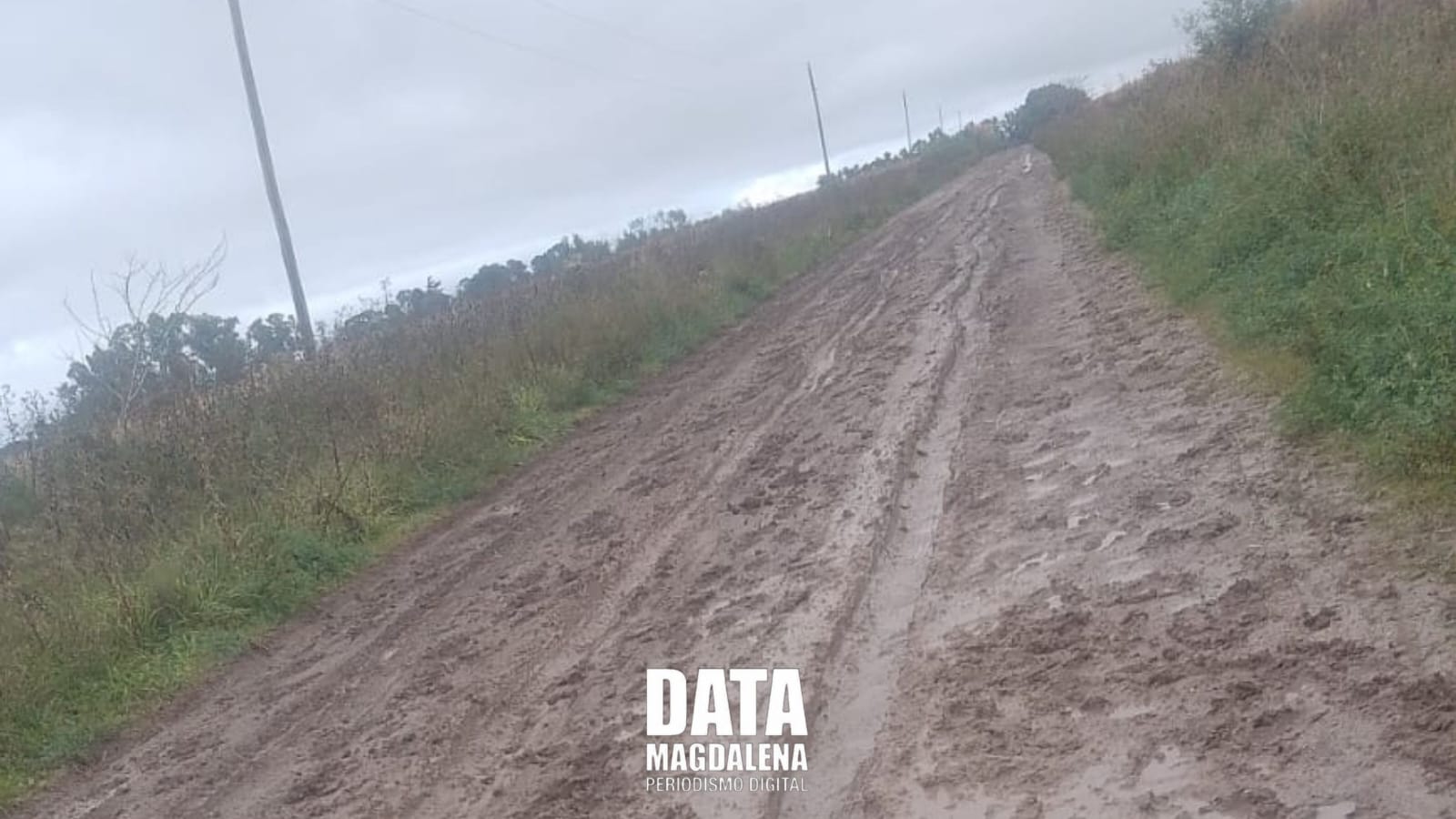 🚧 Vecinos de Bavio en alerta por el estado de los caminos rurales