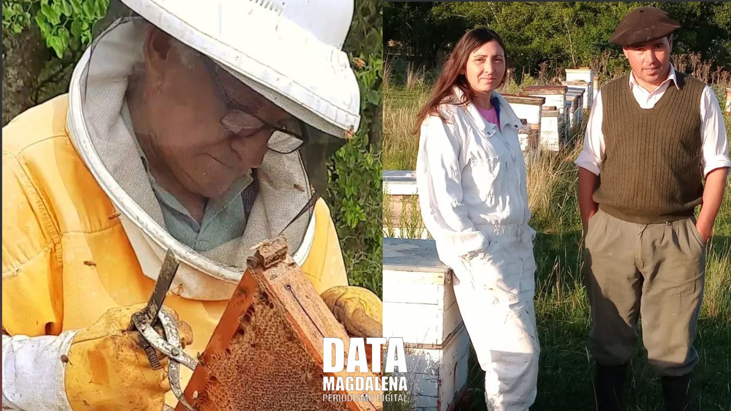 🏆 Productores de Magdalena triunfan en Fiesta Nacional de la Apicultura