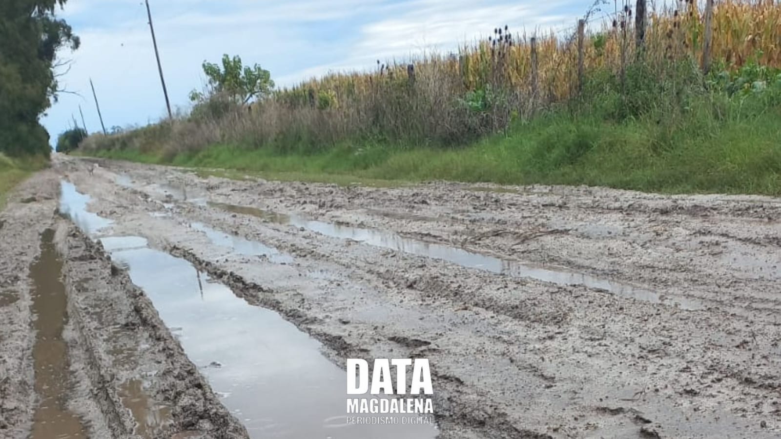 🛣️ “Yo no quiero una autopista o un asfaltado. Yo lo que quiero es salir a laburar”