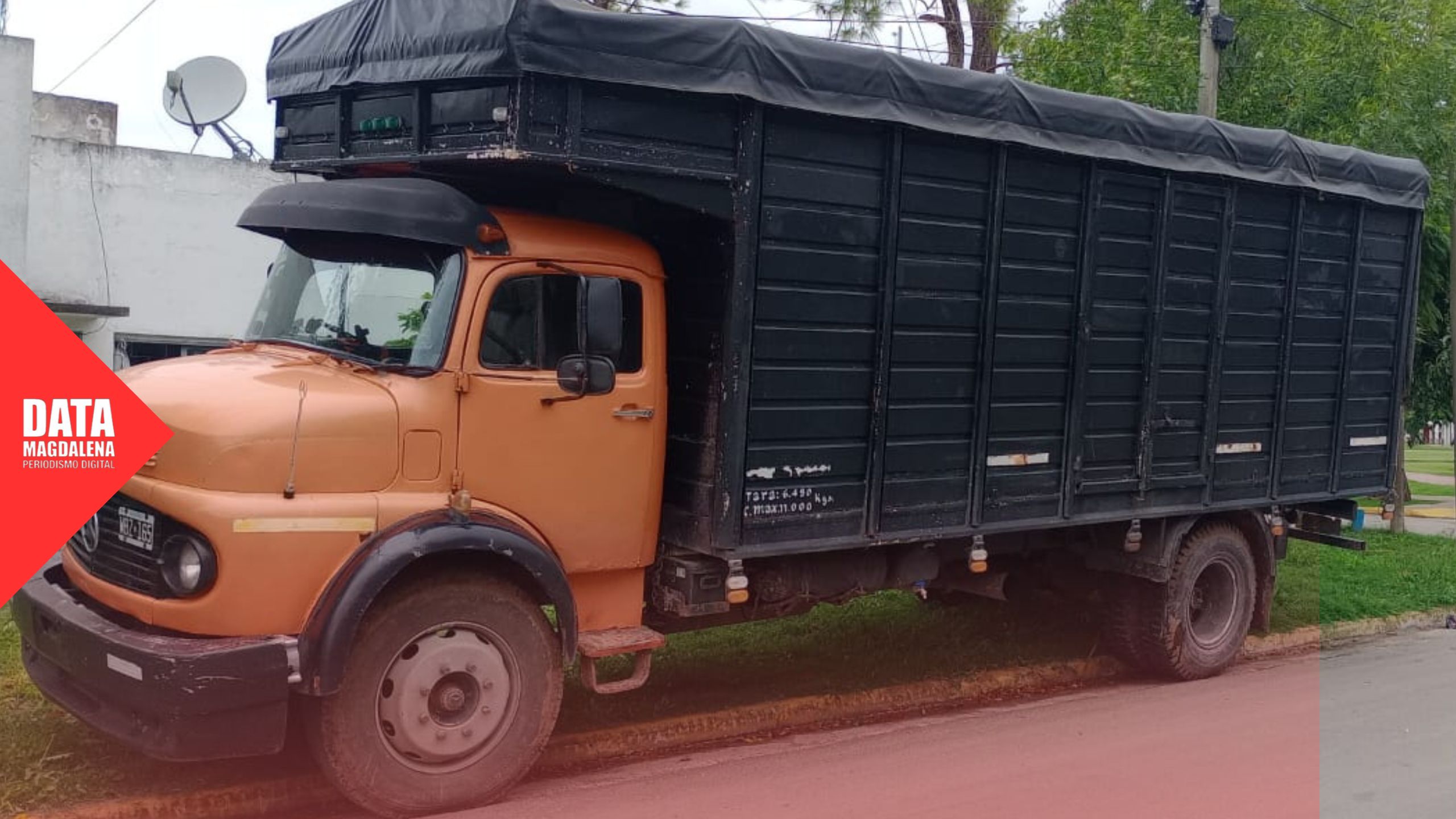 🚨Control Urbano y Policía Ecológica actúan ante daños ambientales y viales