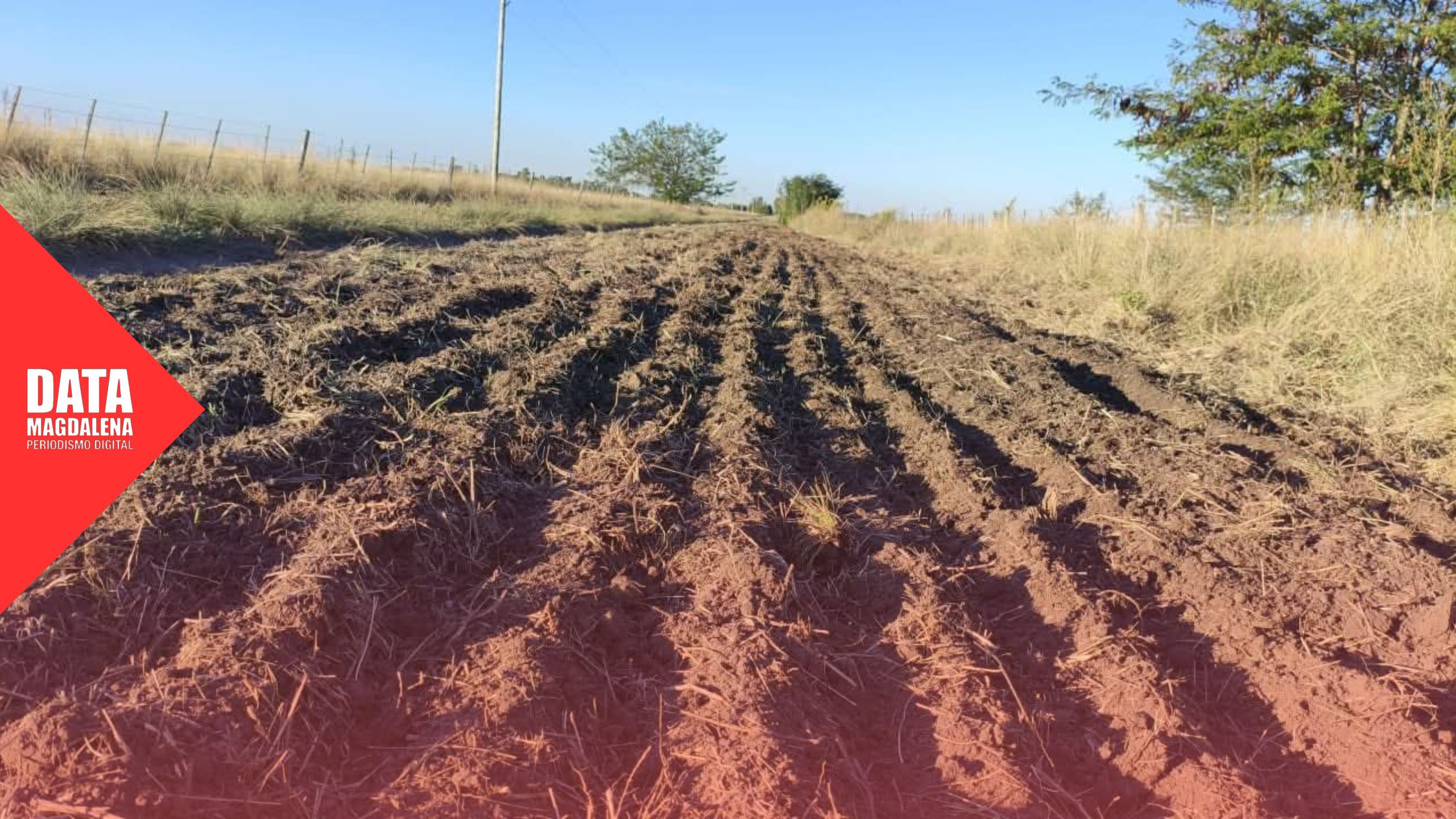 Informe CASER: m&aacute;s de 136 km intervenidos en marzo en Magdalena