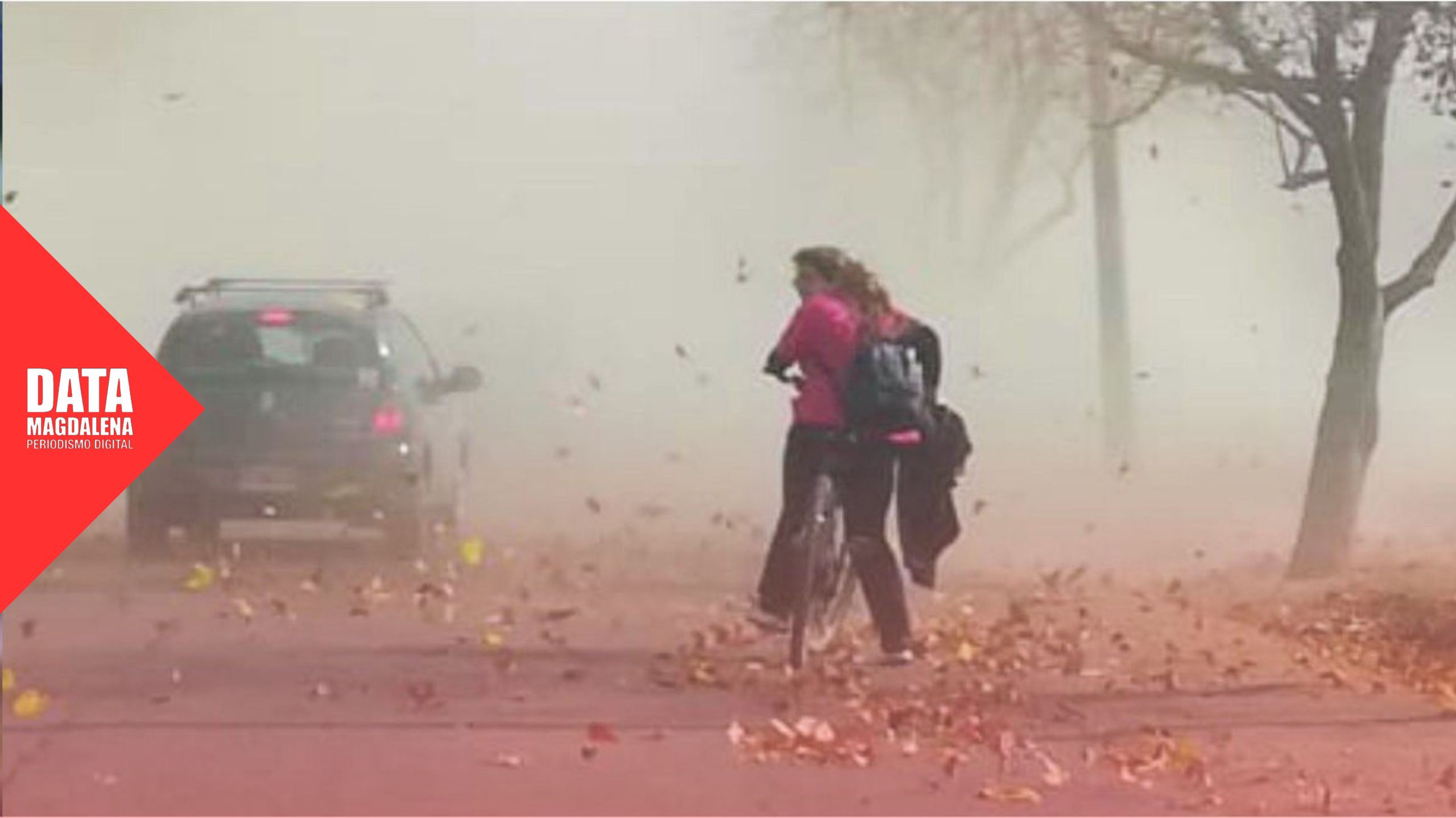 Alerta por fuertes vientos en Buenos Aires: r&aacute;fagas de hasta 100 km/h