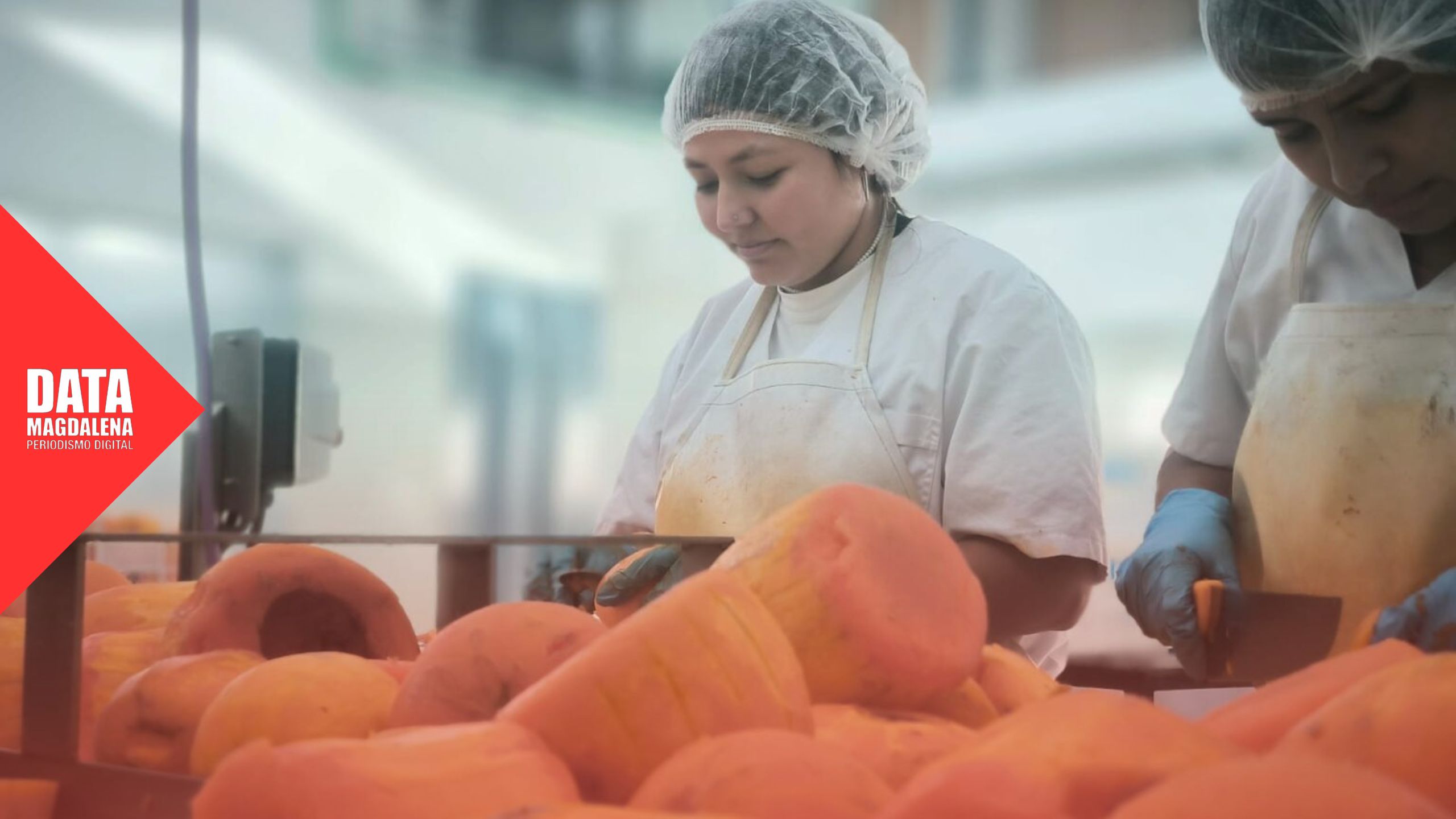 El convenio con la UNLP cobra protagonismo en Magdalena tras la suspensi&oacute;n del programa MESA