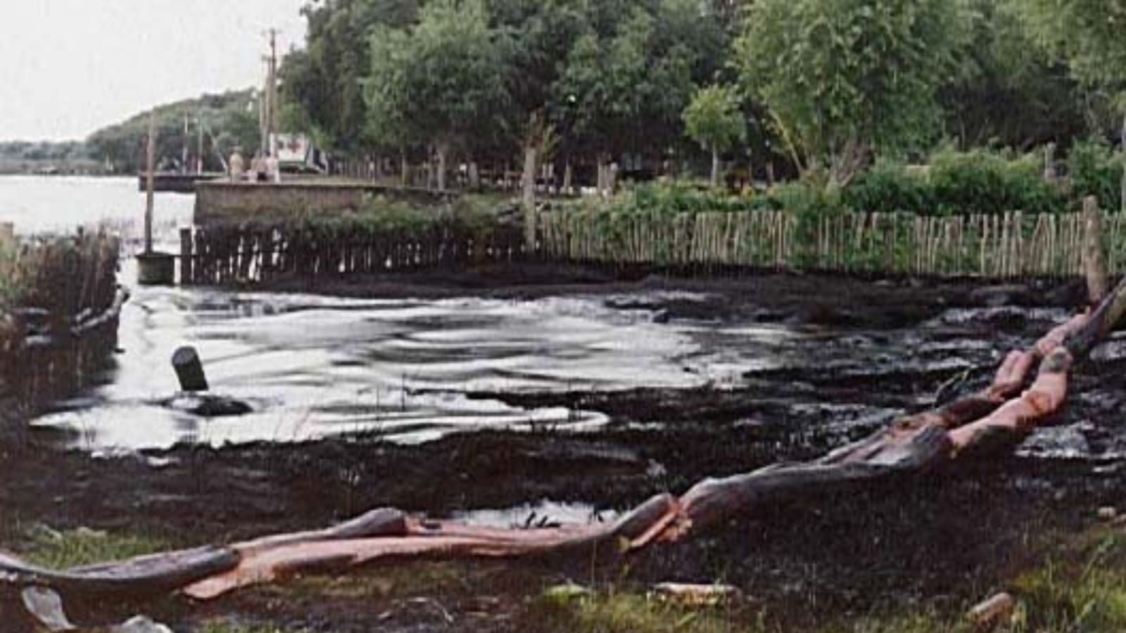   Pedido de informe aprobado: Shell y el derrame de petróleo en Magdalena, 25 años después