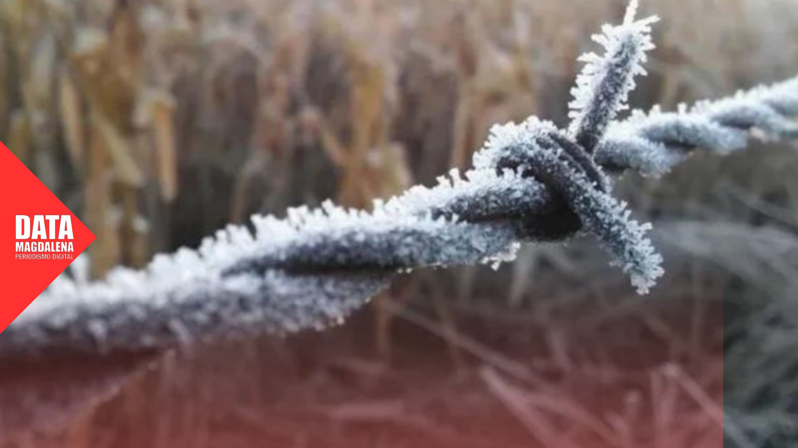 🧊 Ola polar en Magdalena: mínimas bajo cero y alerta del SMN
