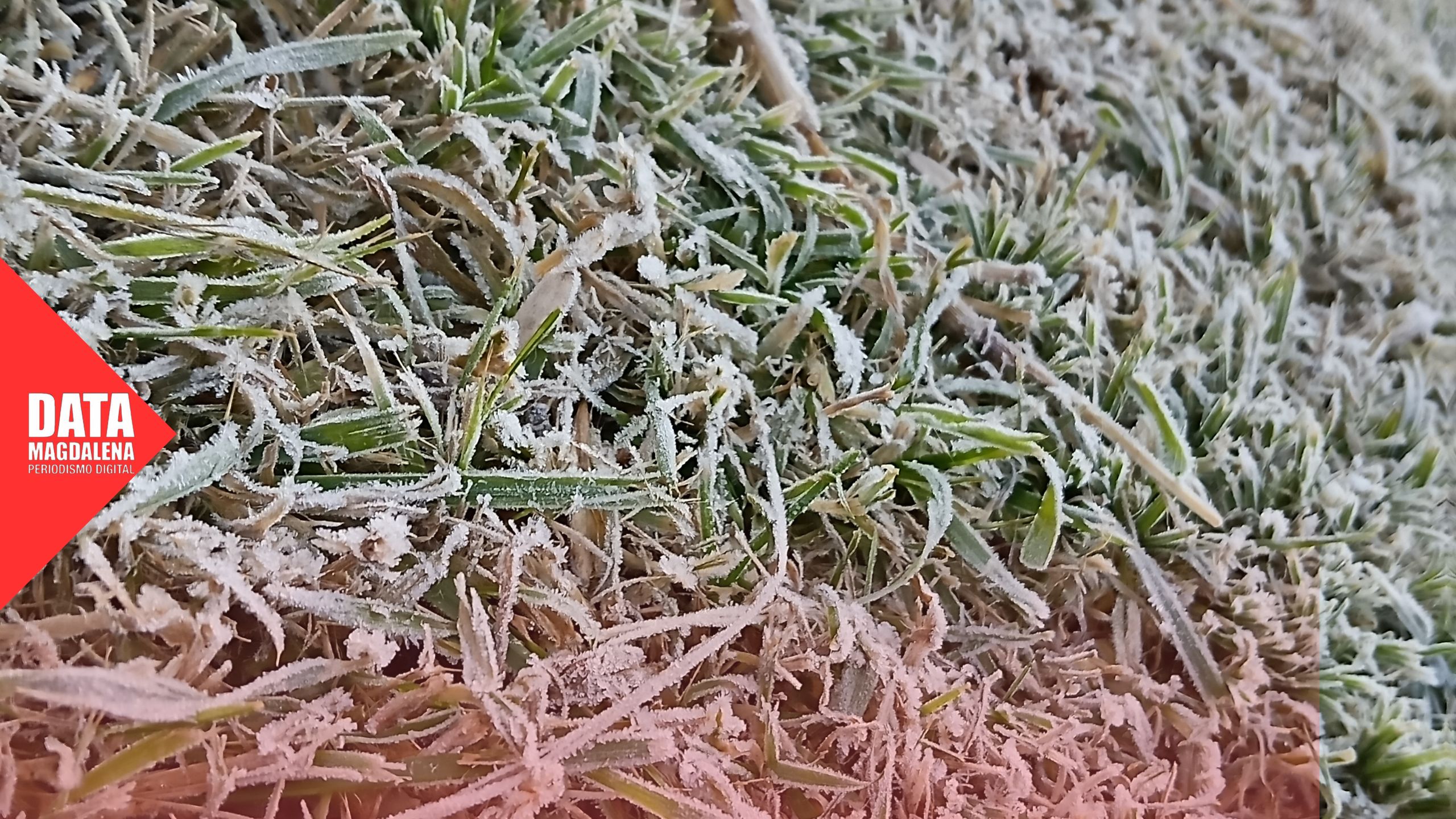 🧊 MAGDALENA BAJO CERO: LA OLA POLAR MARCA RÉCORD DE FRÍO