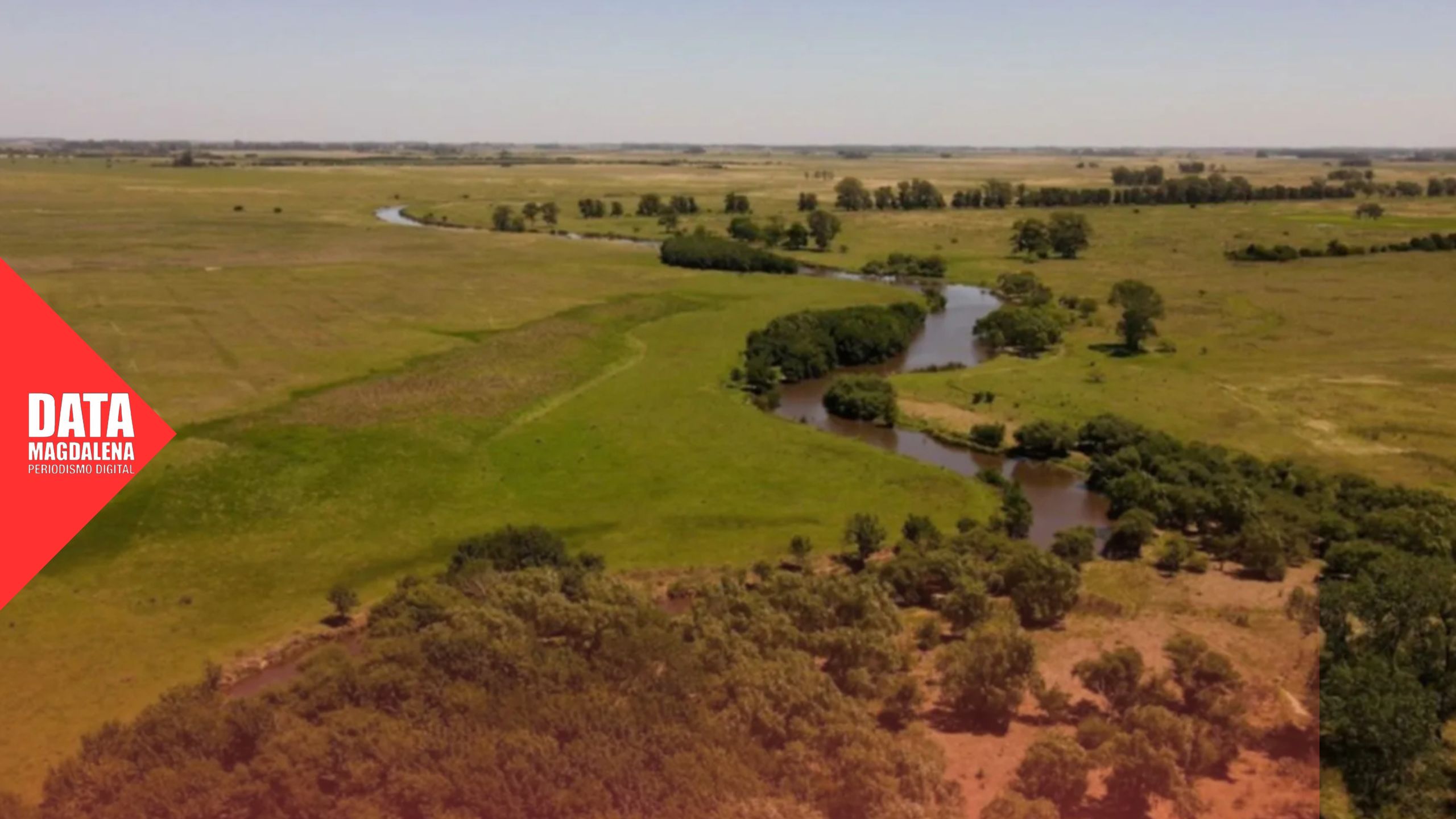 🌿  Buscan declarar reserva natural a la Cuenca del Arroyo El Pescado: una deuda ambiental con el sur bonaerense
