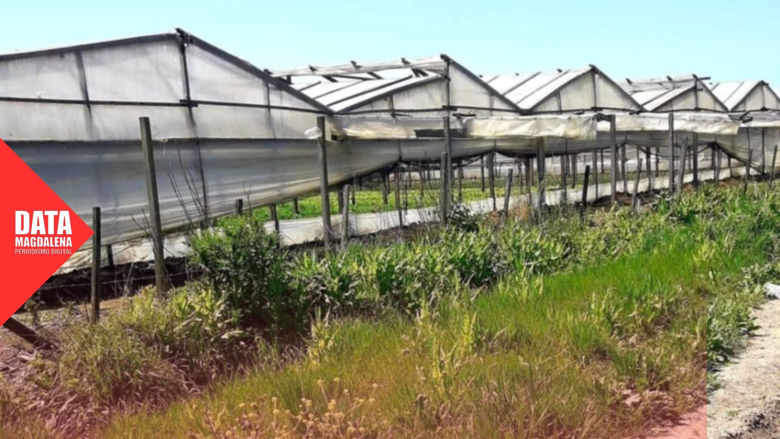 🧑‍🌾Vecinos celebran la ordenanza frutihortícola, pero advierten: “Lo dificil empieza ahora”