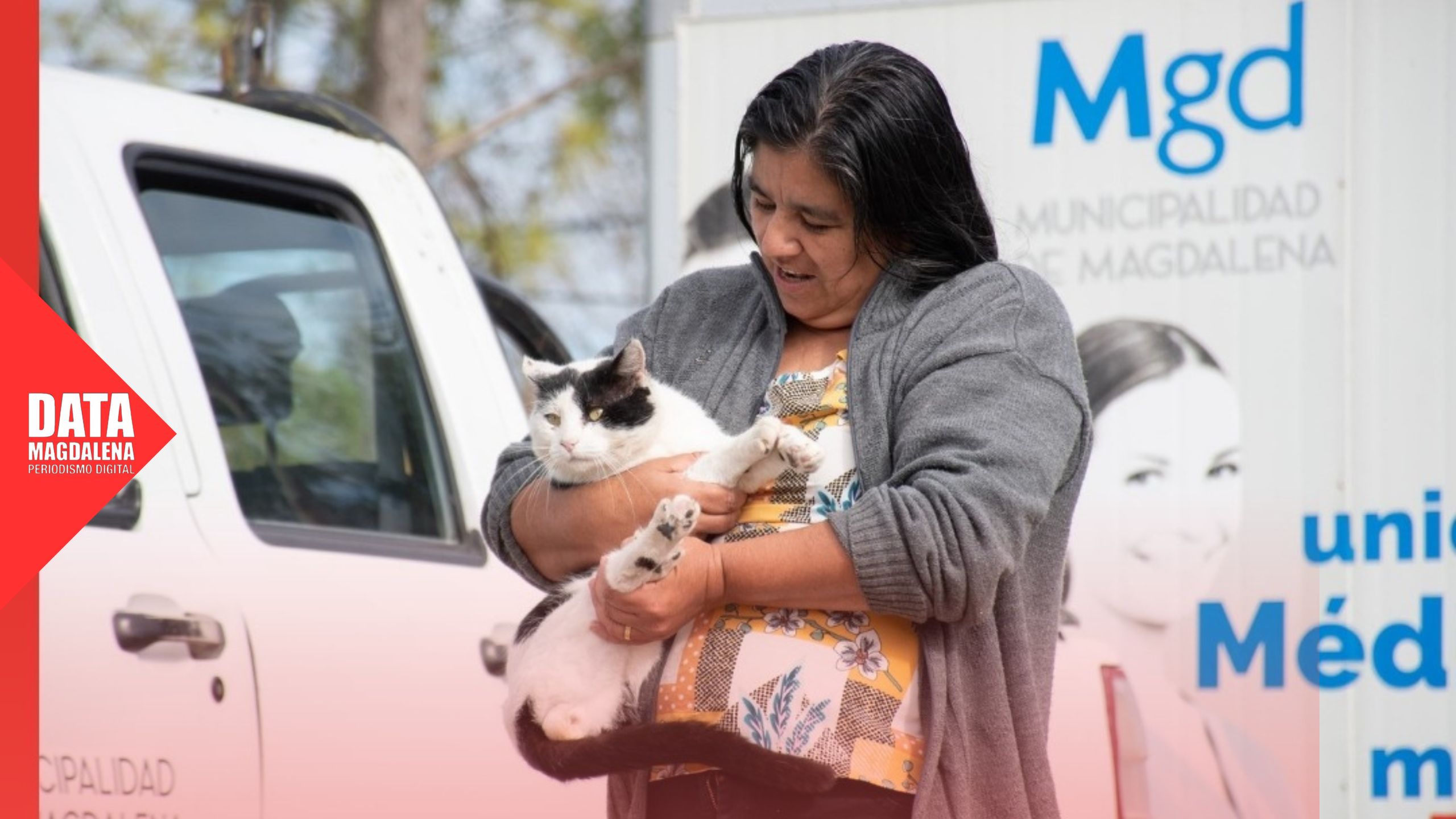 🐾 Castraciones gratuitas este sábado en el CRIM: cómo anotarse y hasta cuándo hay tiempo