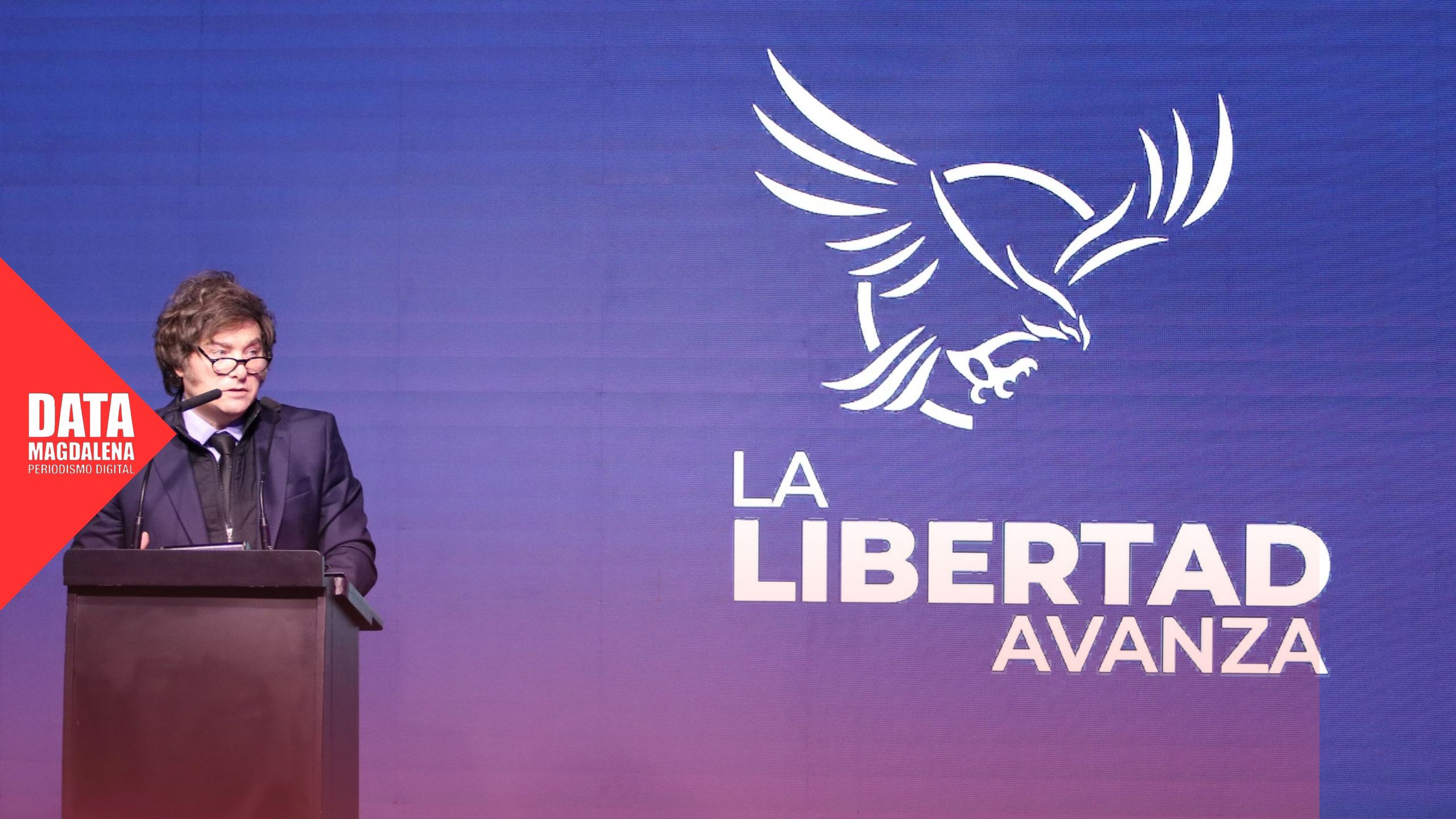 🧩 Libertarios en disputa: poder, territorio y liderazgos rotos