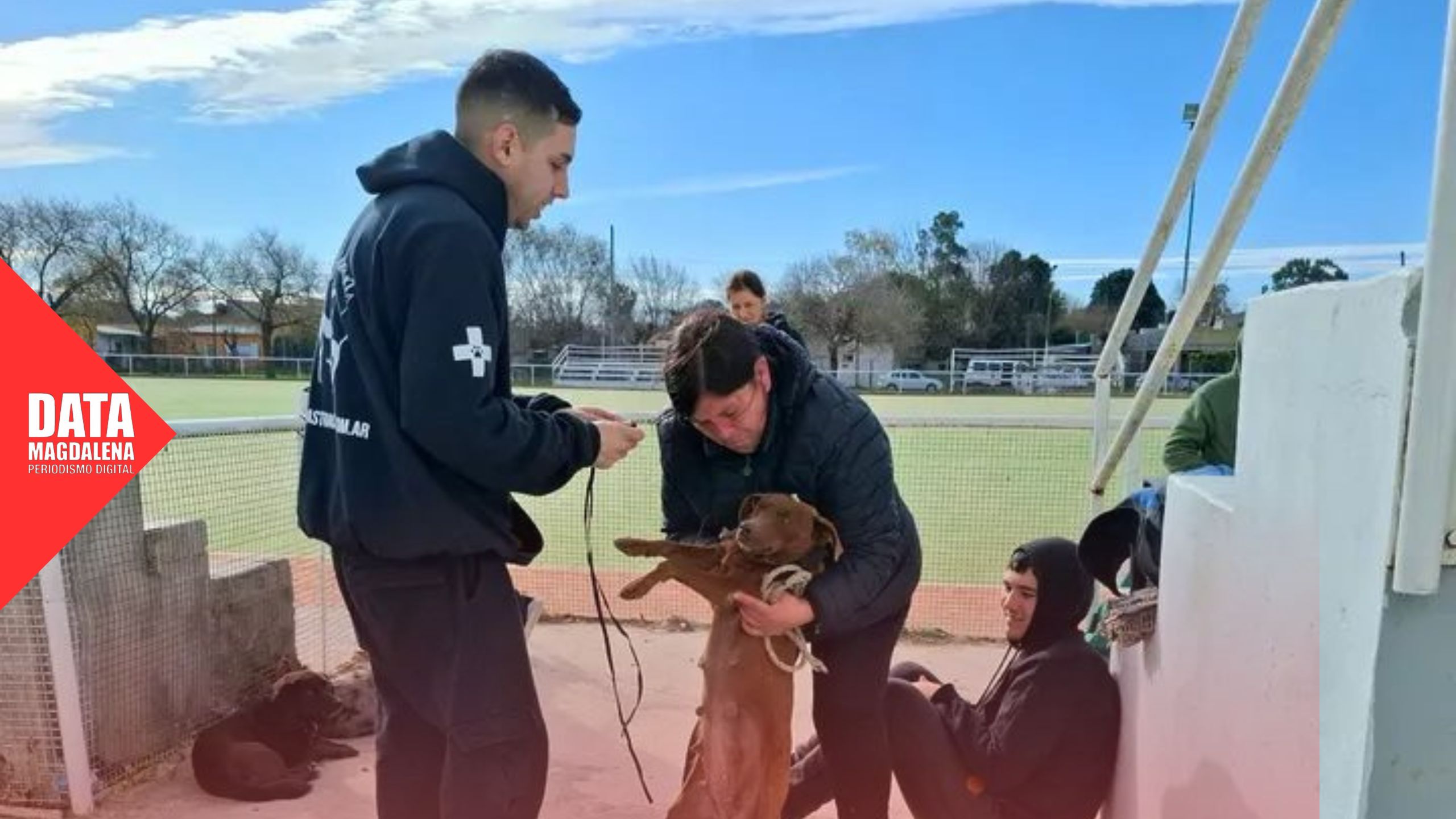 🦴 MÁS DE 600 MASCOTAS CASTRADAS EN LO QUE VA DEL AÑO