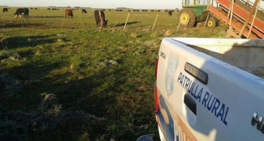 Un nuevo golpe a la seguridad rural en Magdalena