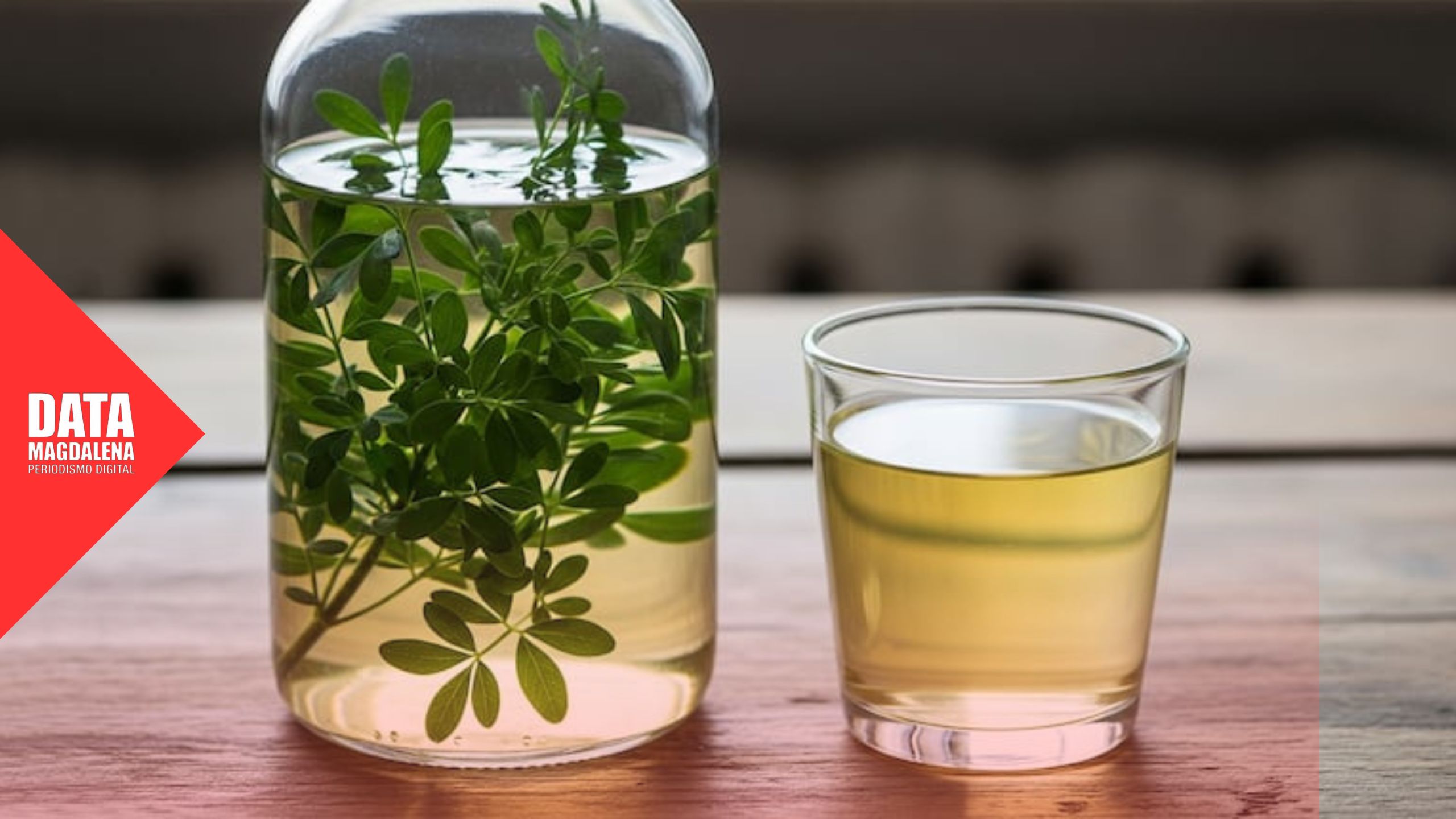🥃¿Cumpliste con el ritual del 1° de agosto?