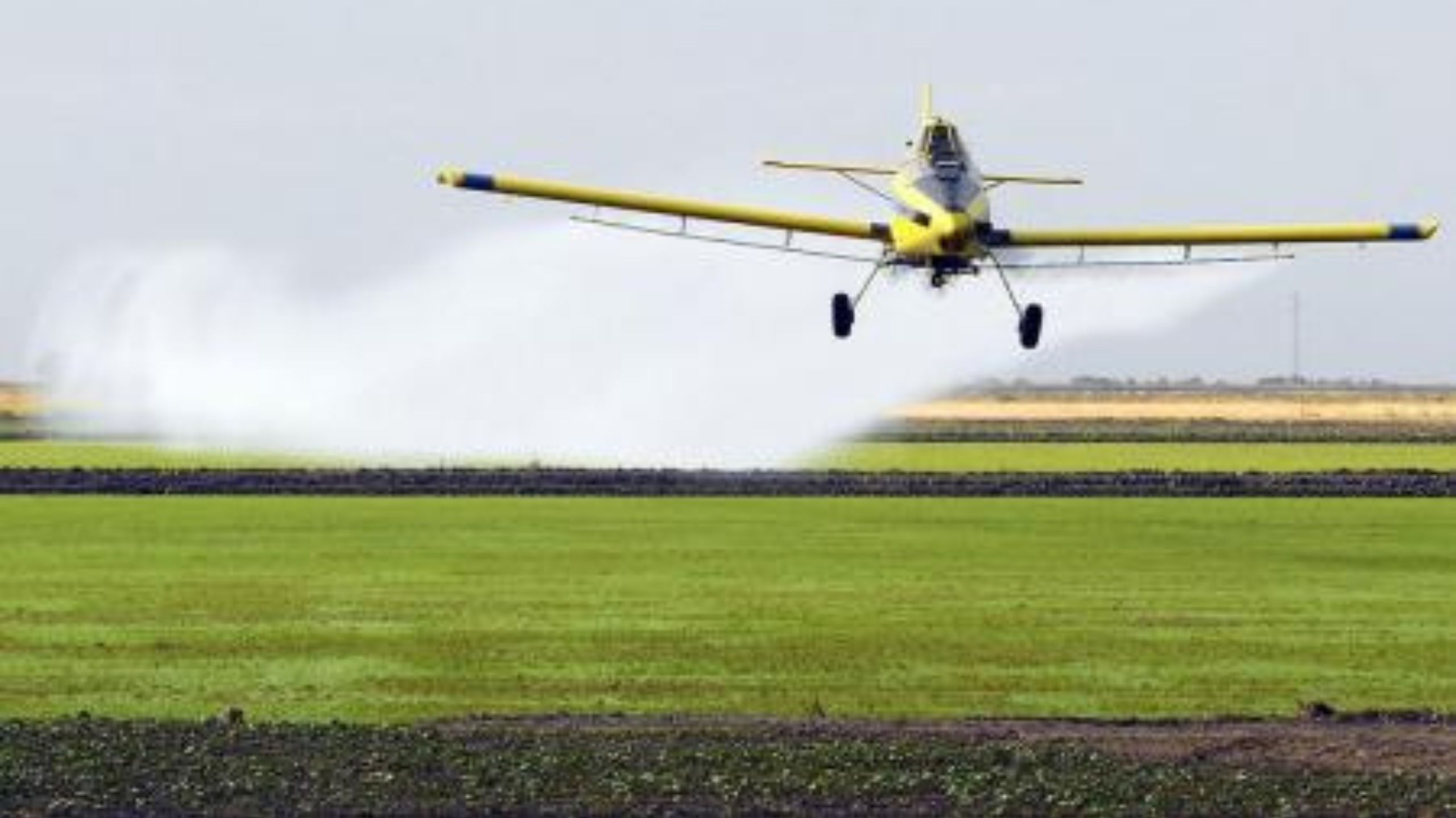 La Provincia de Buenos Aires aplaza nuevamente la regulación del uso de agroquímicos