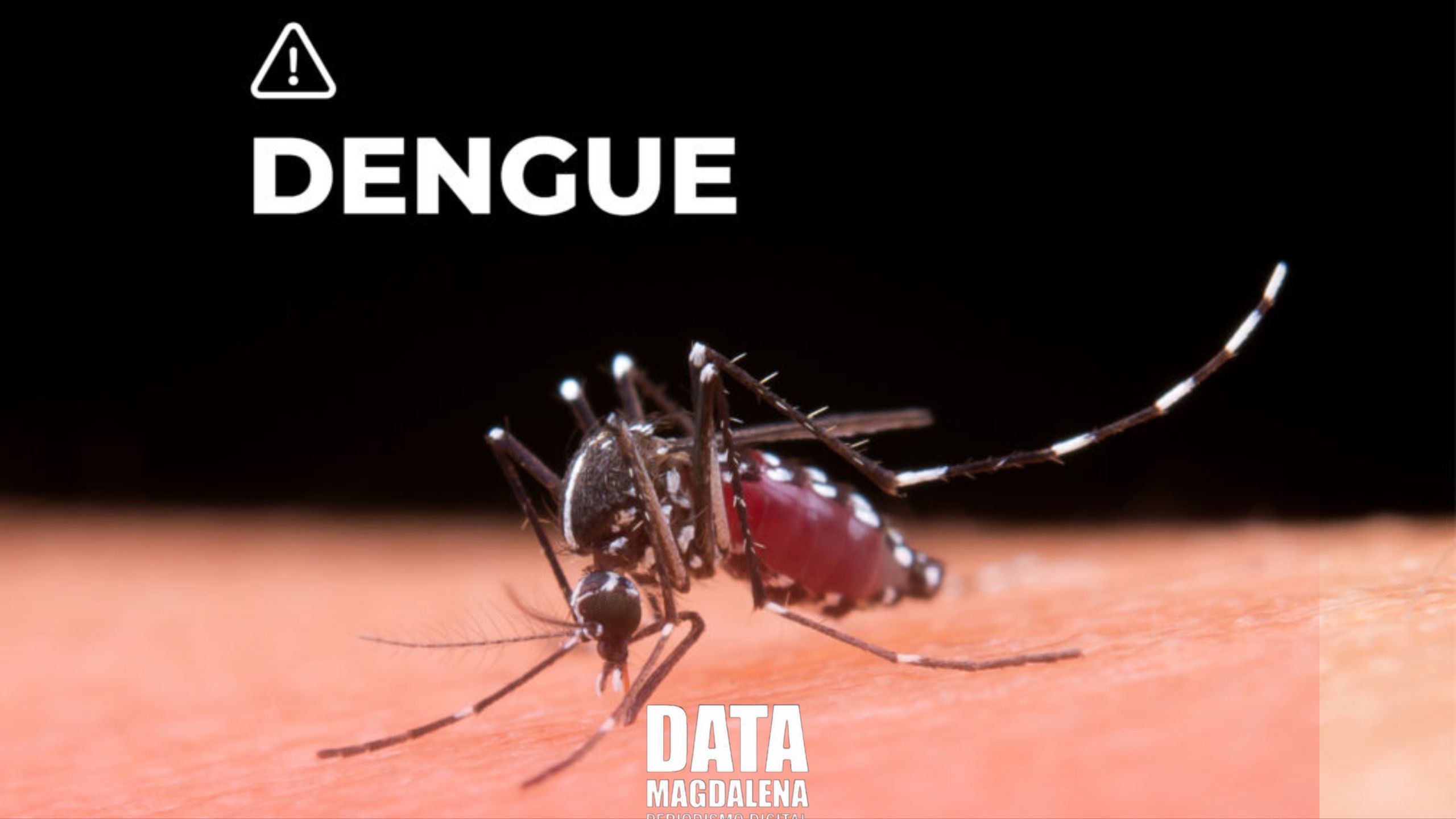 🦟Prevención del dengue: Magdalena refuerza medidas ante la llegada del calor y mosquitos