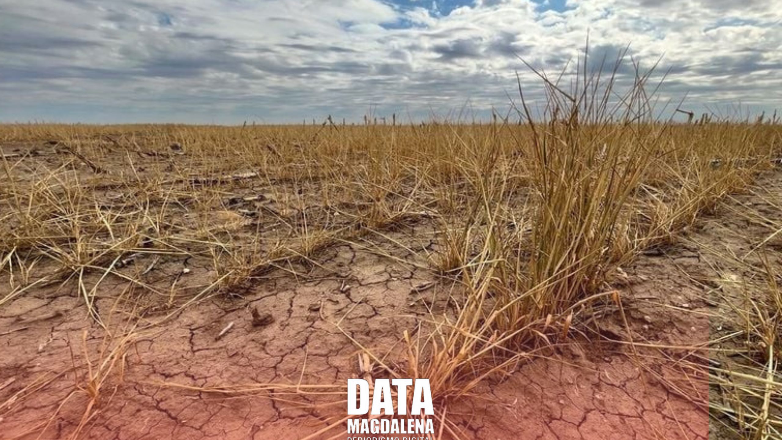 👩‍🌾La Nación declara emergencia agropecuaria en Buenos Aires tras meses de espera