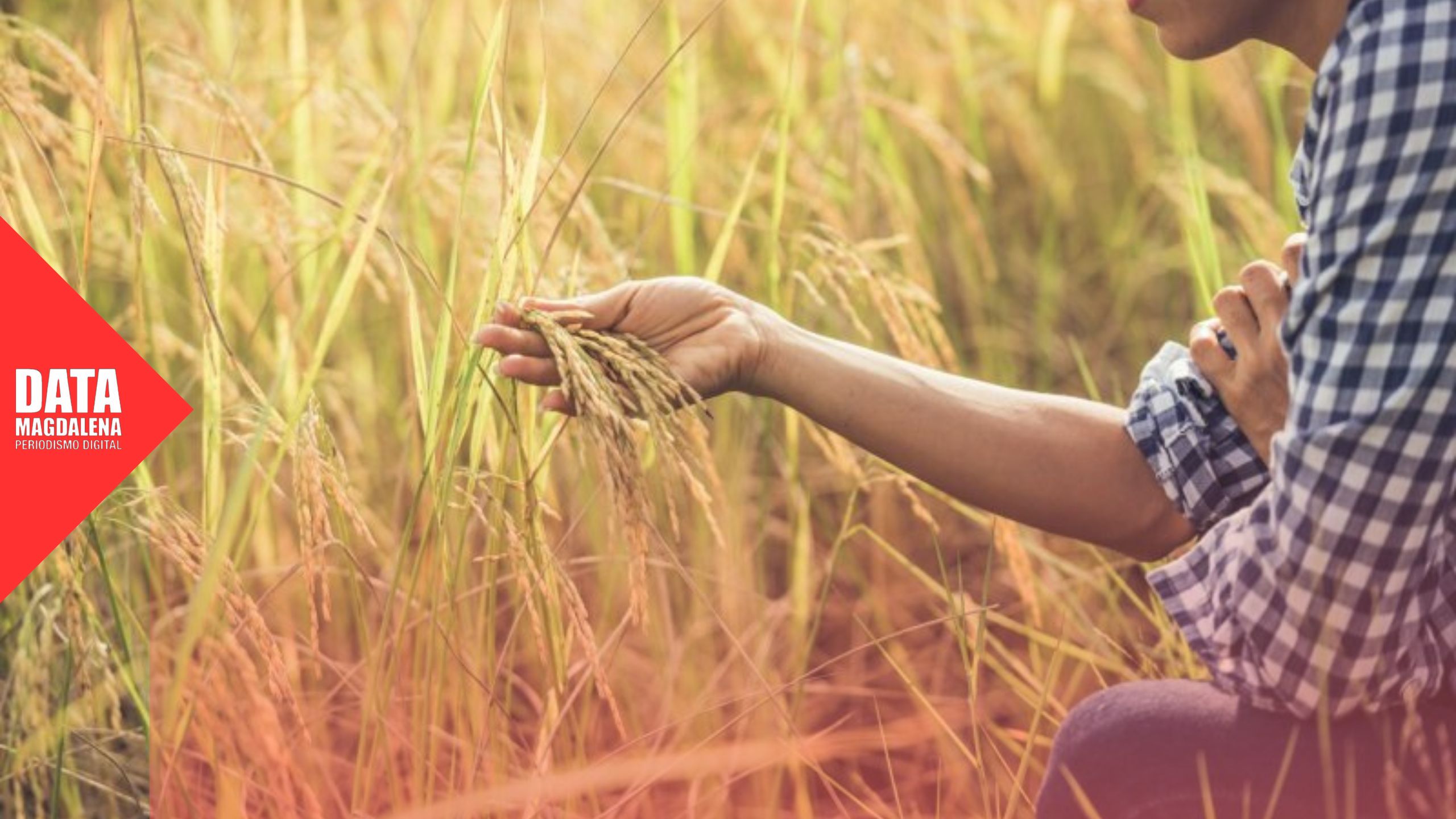 🌾 Magdalena vivirá la 1° Fiesta Criolla de la Mujer Rural en Vieytes
