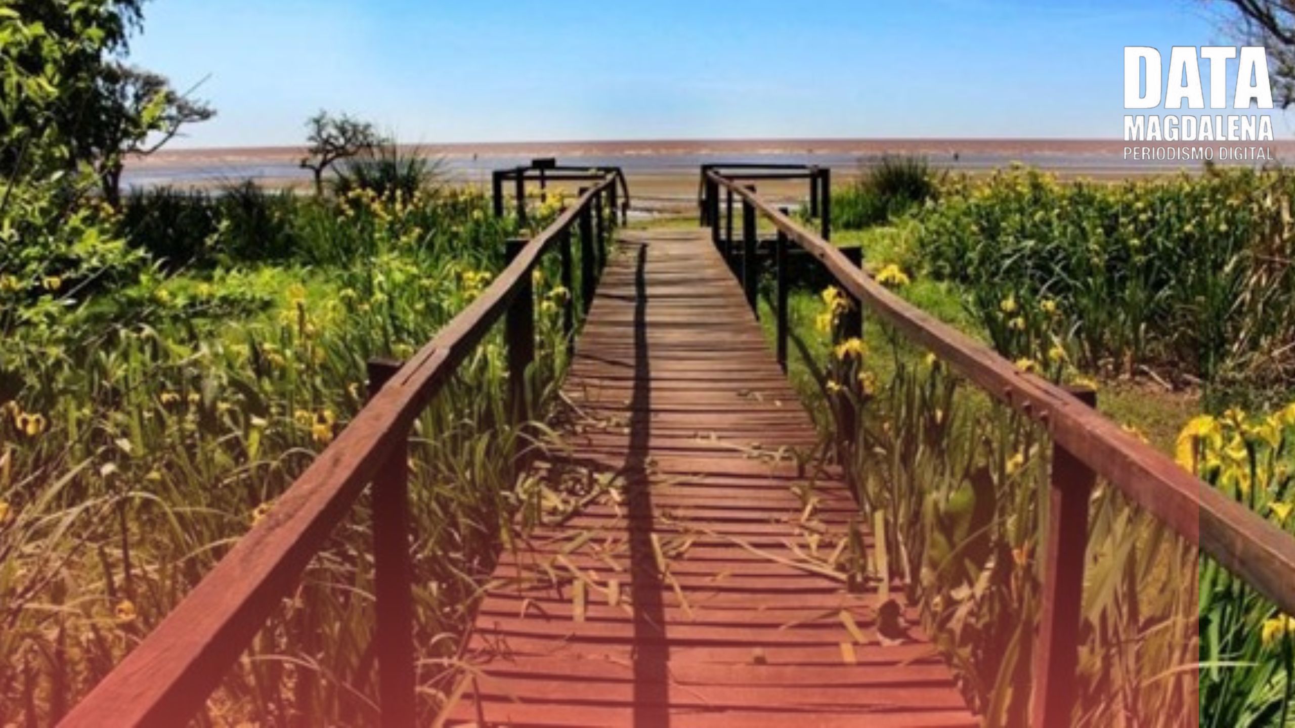 ⚖️ Juez suspende obras y pesca comercial en el Parque Costero del Sur por daño ambiental