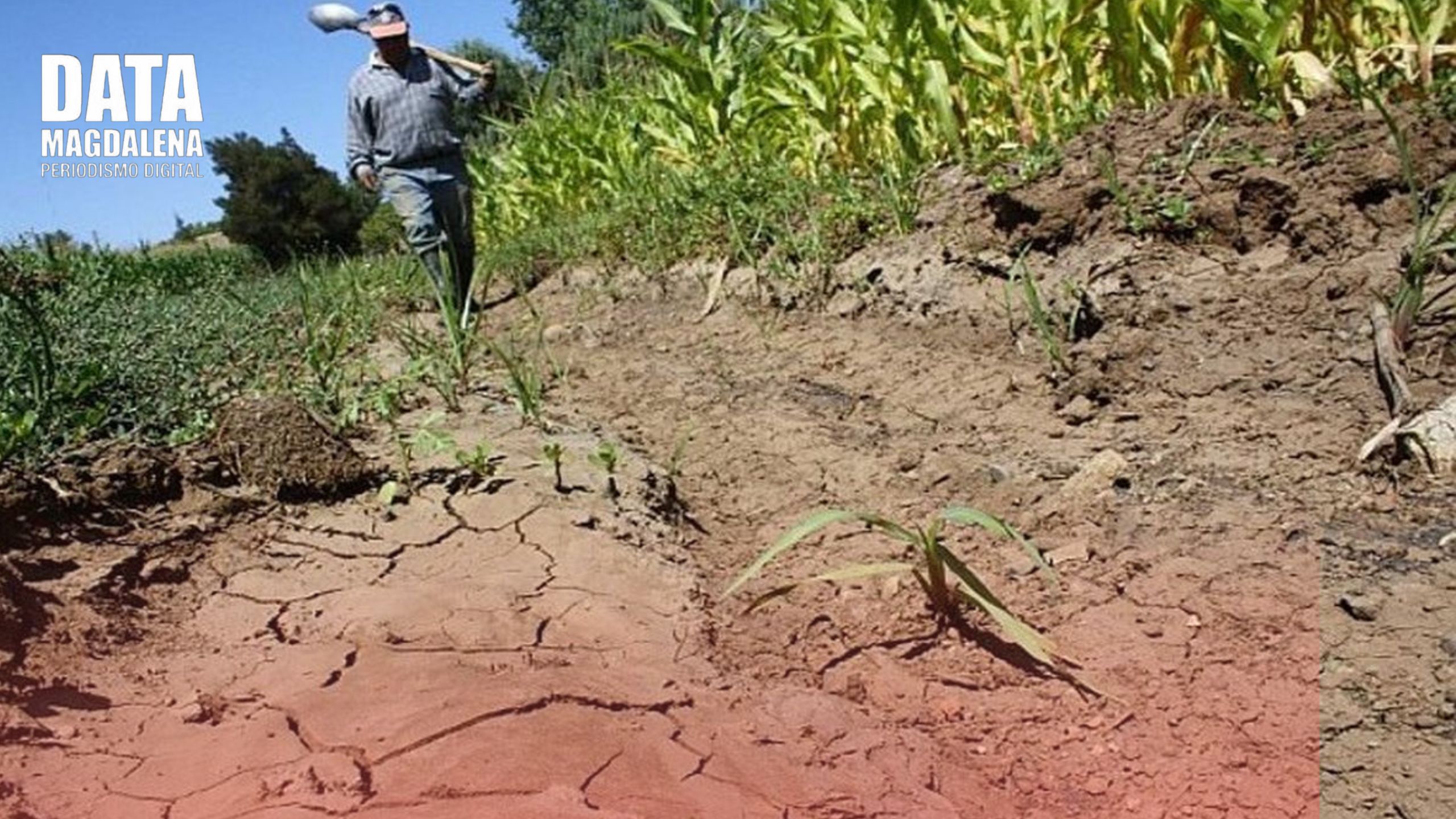 🌡️ Alerta: La Niña traerá un verano extremo con sequías y calor sofocante en Argentina