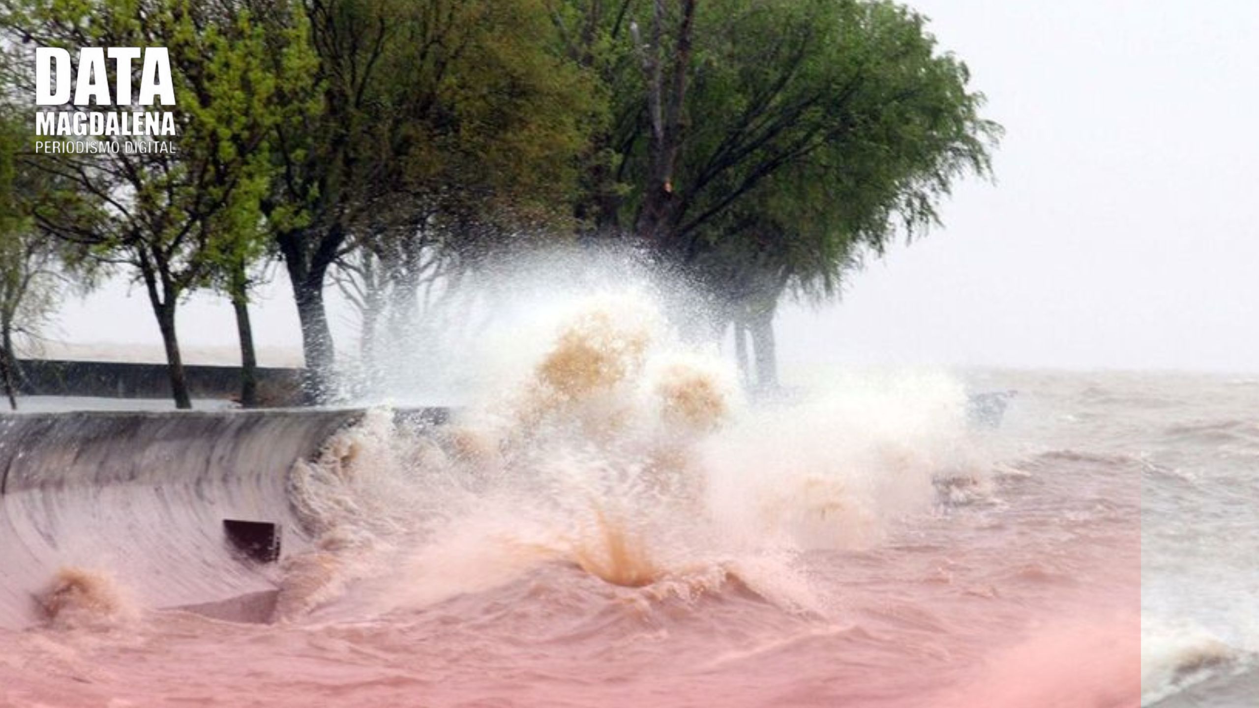 🌊 Alerta por crecida: el Río de la Plata aumentará su nivel hasta 2.50 metros