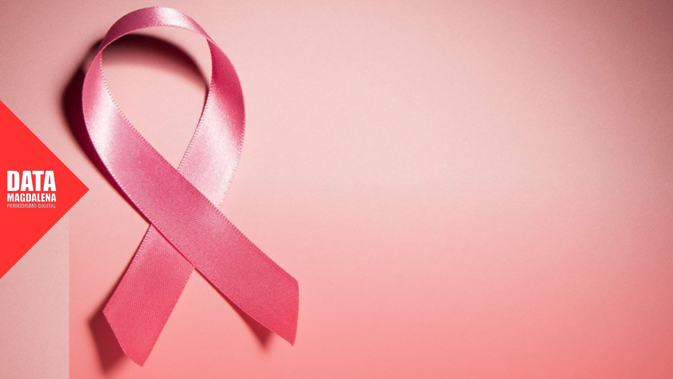 🌸 Magdalena declaró de interés legislativo las actividades por el Mes de la Lucha contra el Cáncer de Mama
