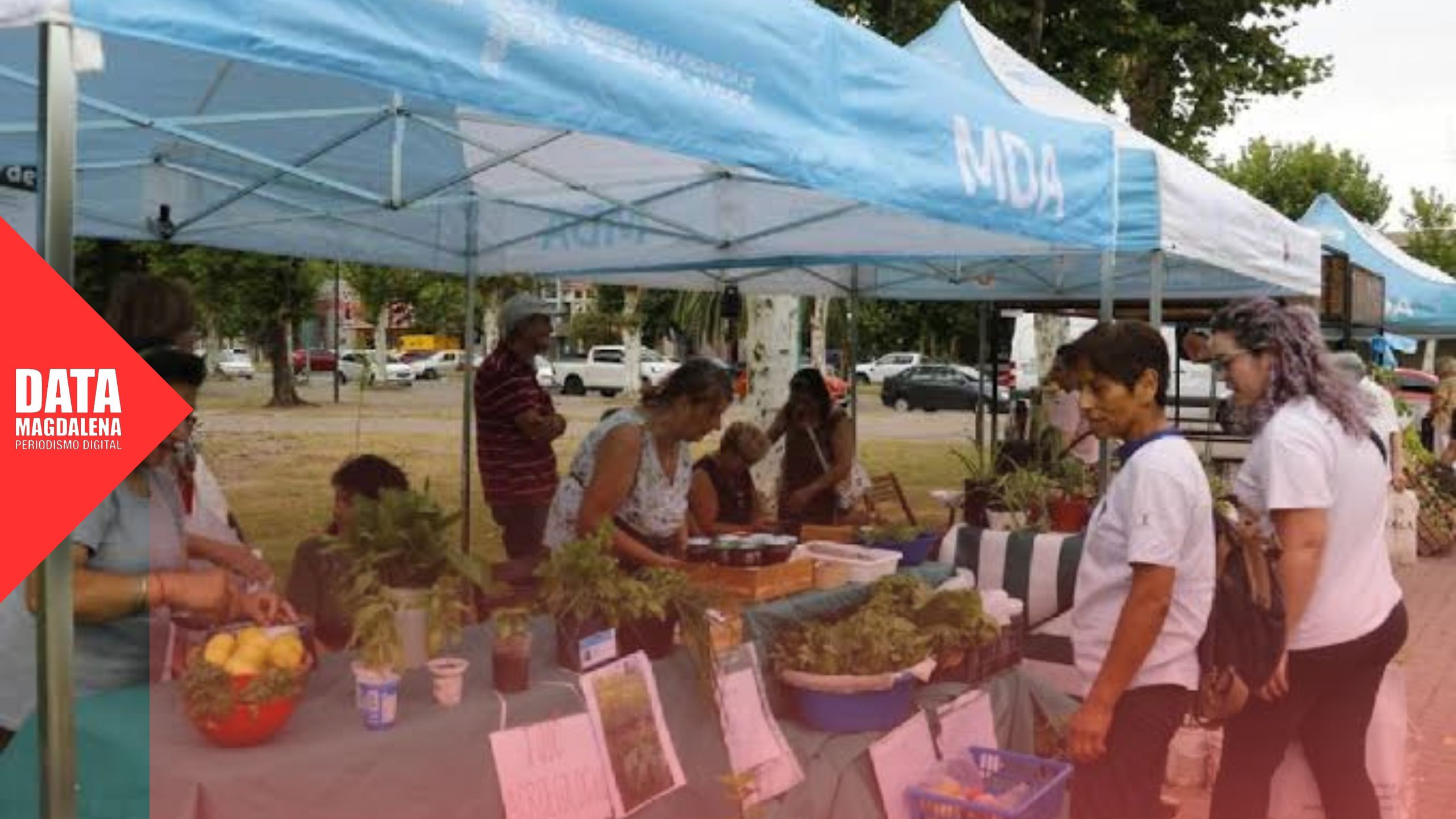 🧺 “Mercados Bonaerenses de Magdalena” fue declarado de interés legislativo por unanimidad