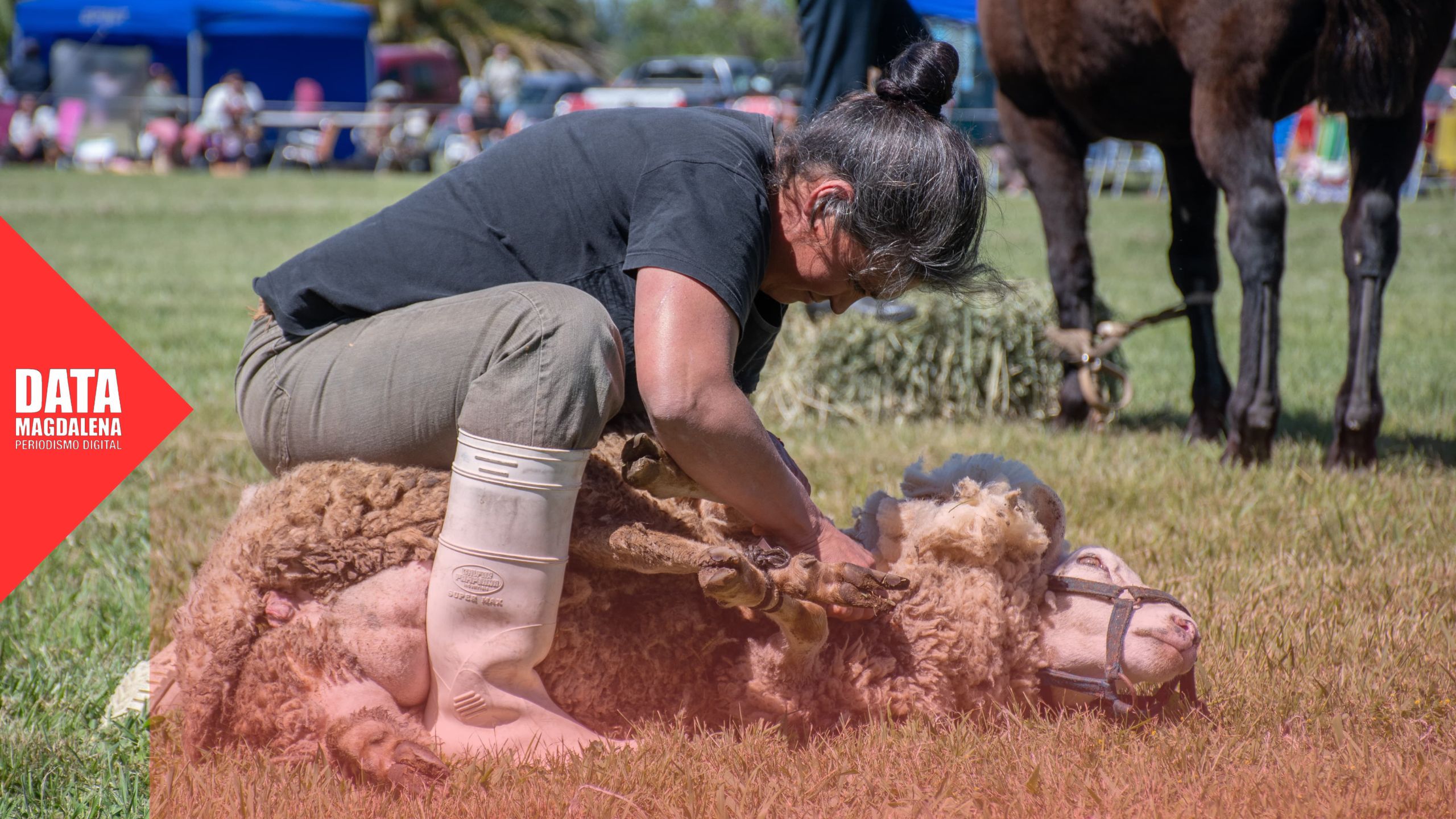 🌾 “La organización es la estrategia para transformar la realidad”: María Eugenia Vela y el balance de la 1ra Fiesta Criolla de la Mujer Rural
