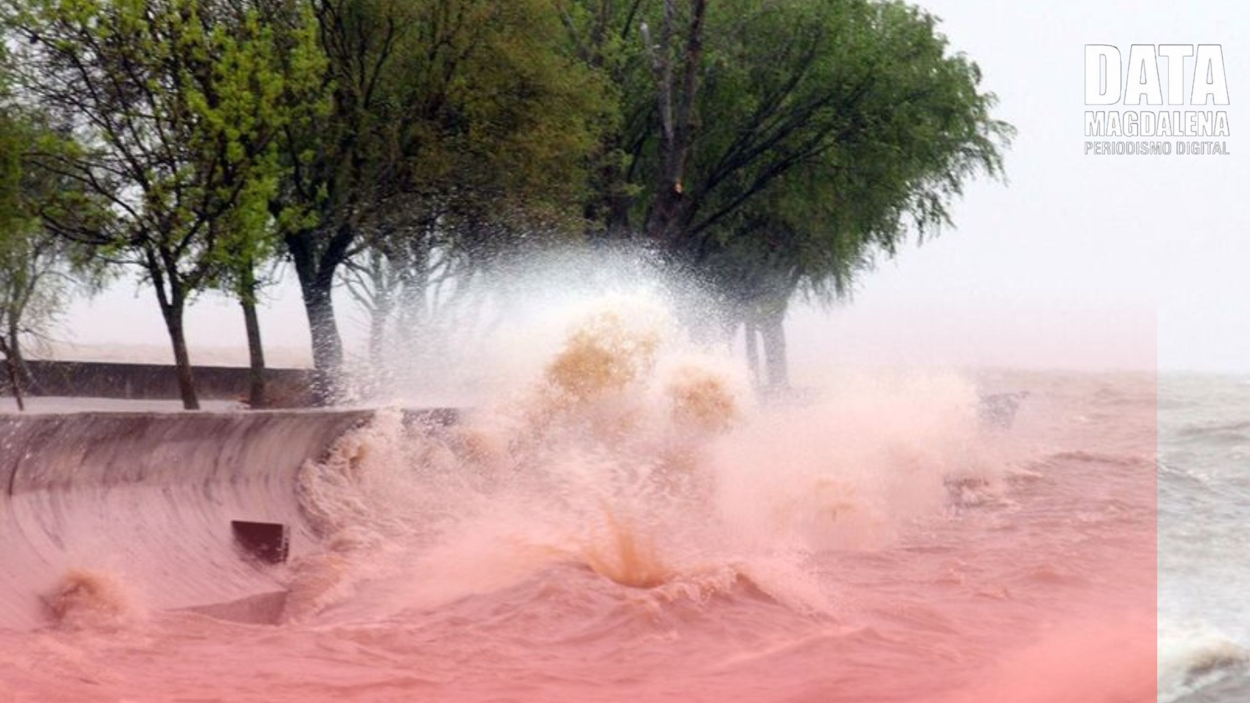 💨🌊Alerta amarilla por vientos y crecida del río de la Plata