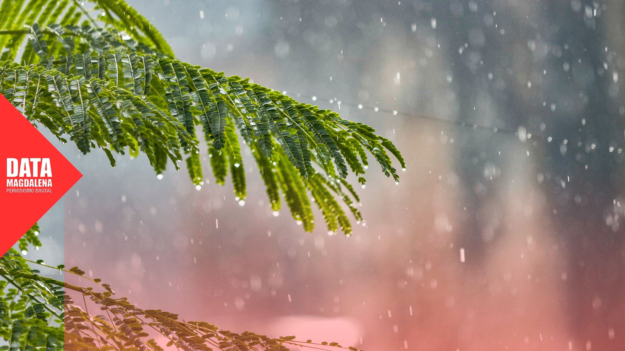 ⛈️ Alerta amarillo en Magdalena: fuertes tormentas, viento y posible granizo marcarán una jornada complicada este martes