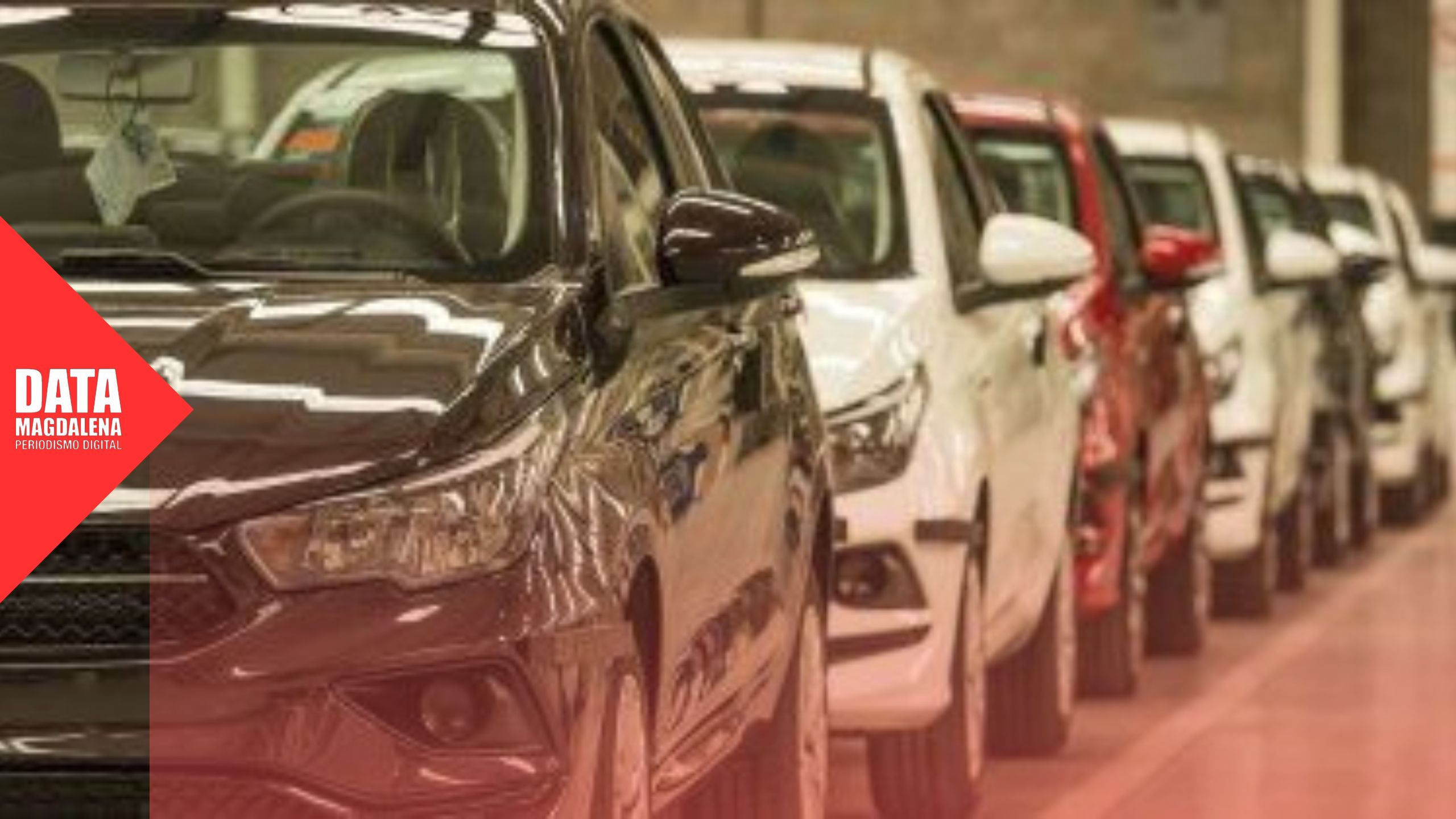 🚘 Crece la estafa de los “autos mellizos” en el país: más de 80 mil vehículos circulan con documentación falsa