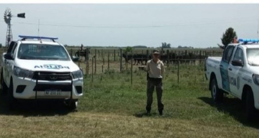 POLICIA RURAL DE MAGDALENA RECUPERÓ 13 VAQUILLONAS ROBADAS 