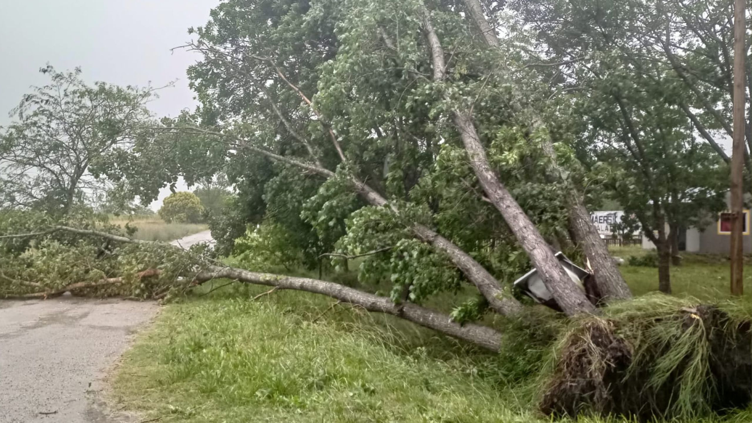 Temporal azotó con fuerza a Magdalena