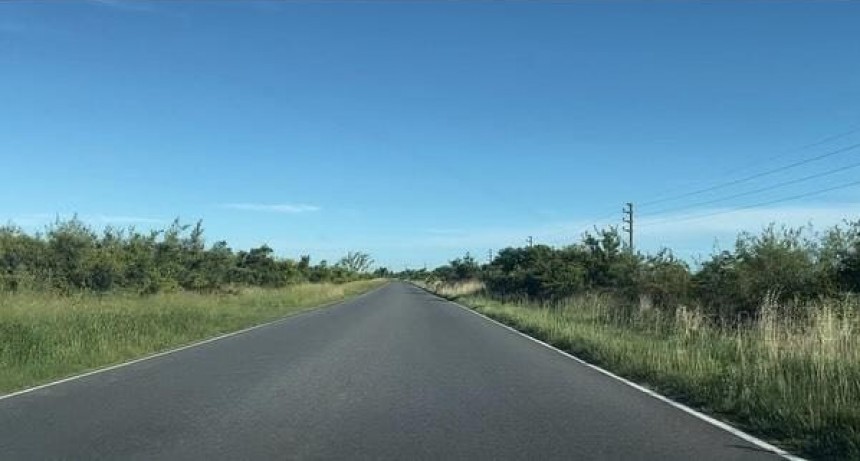 Preocupación en Ruta 11: Conductores Alertan sobre Peligrosa Maleza en Banquinas